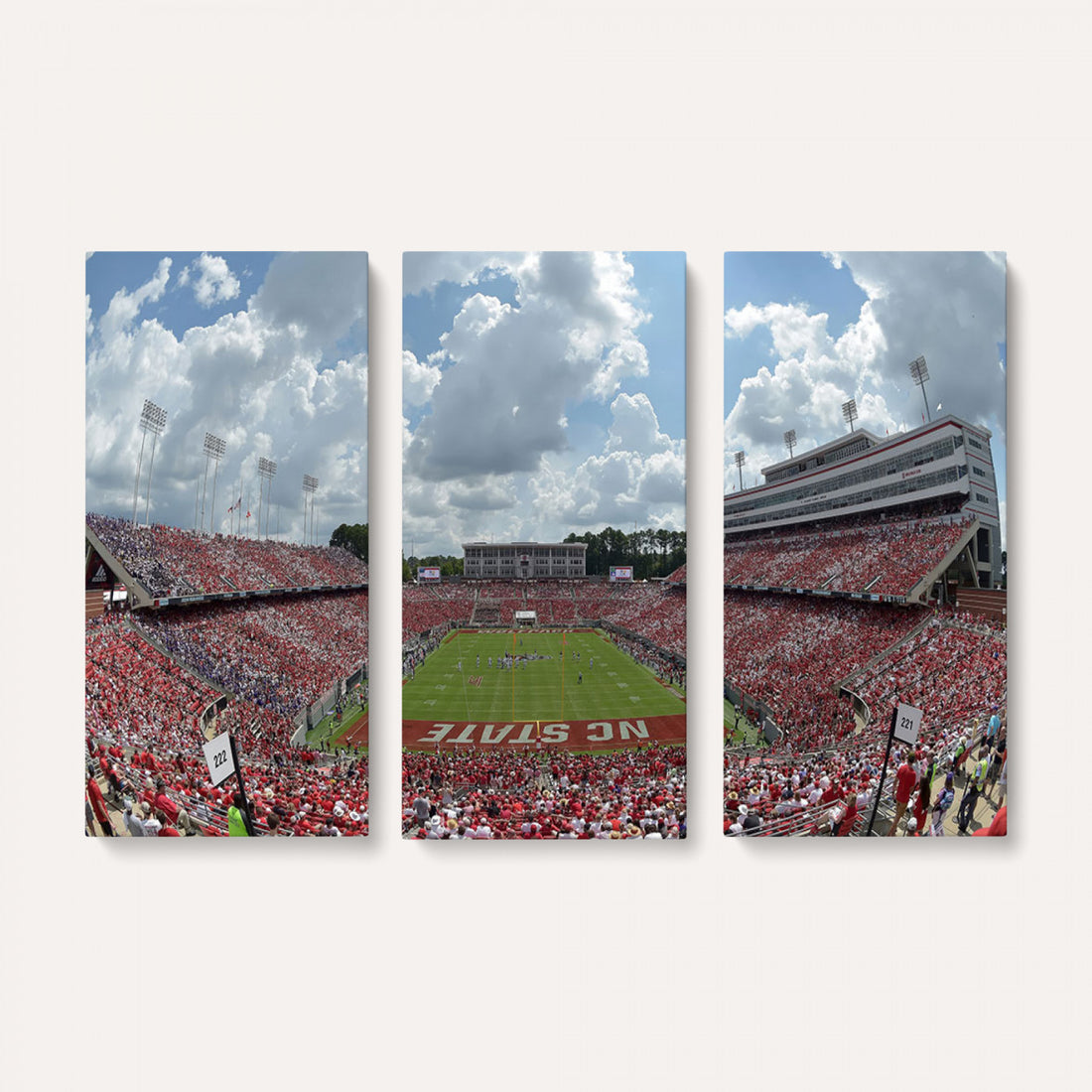 NC State Wolfpack Football Team Print Canvas, Raleigh