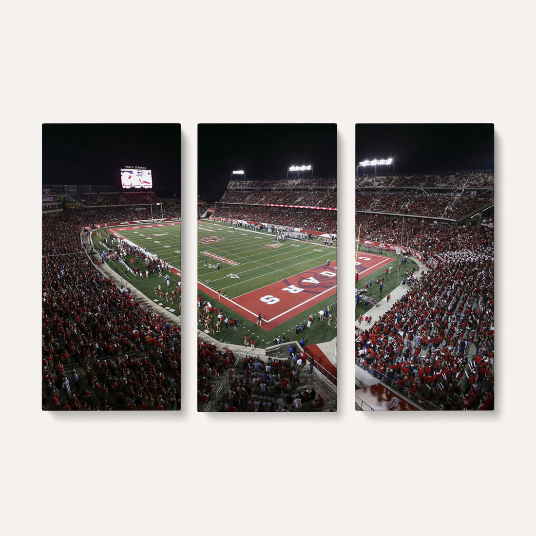 Houston Cougars Football Team Print, Houston TDECU Stadium, Framed and Ready to Hang