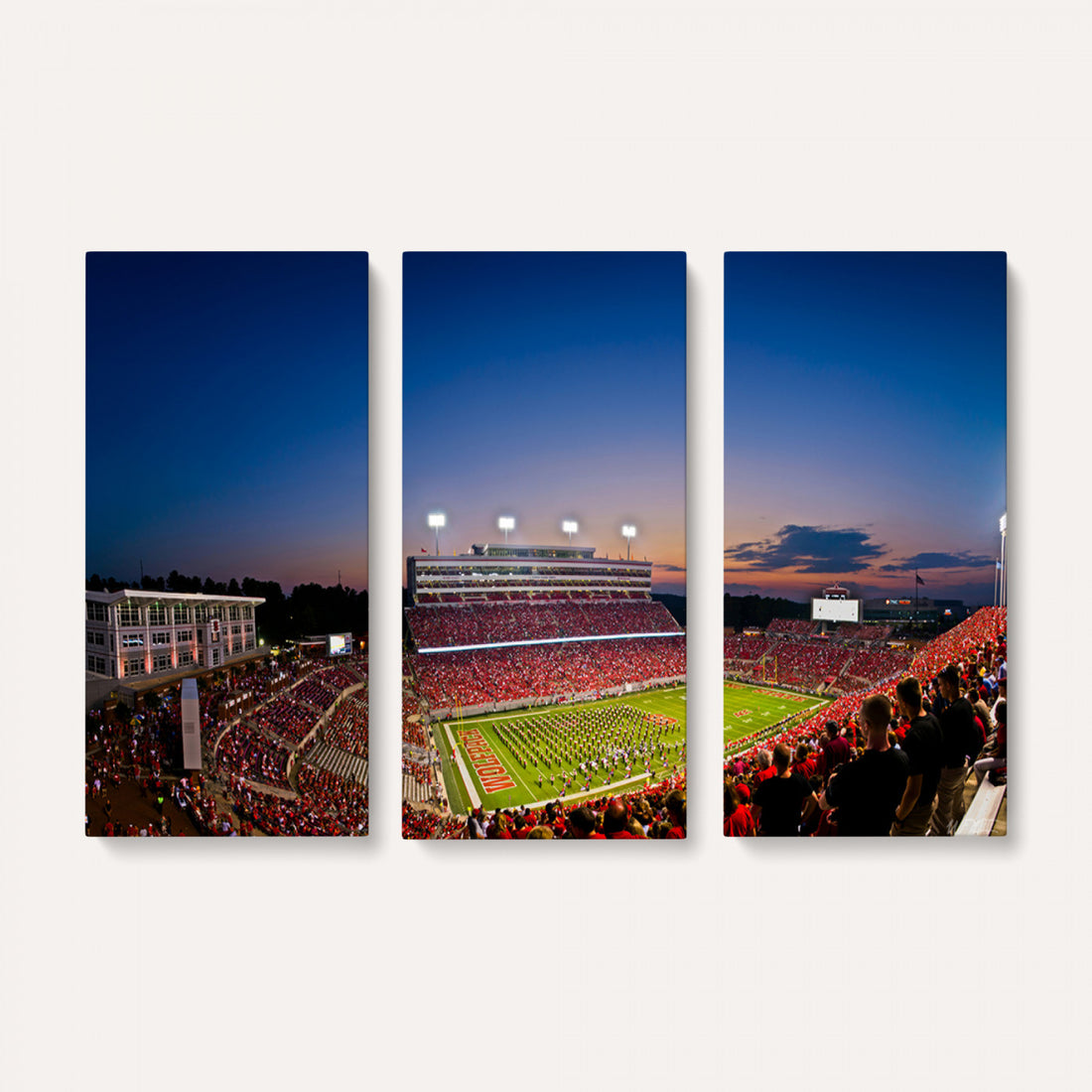 Wolfpack Football Team Wall Art Print, Raleigh
