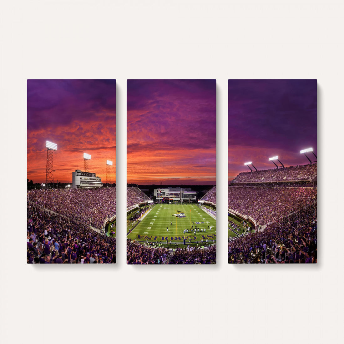 East Carolina University Pirates Football Print Canvas