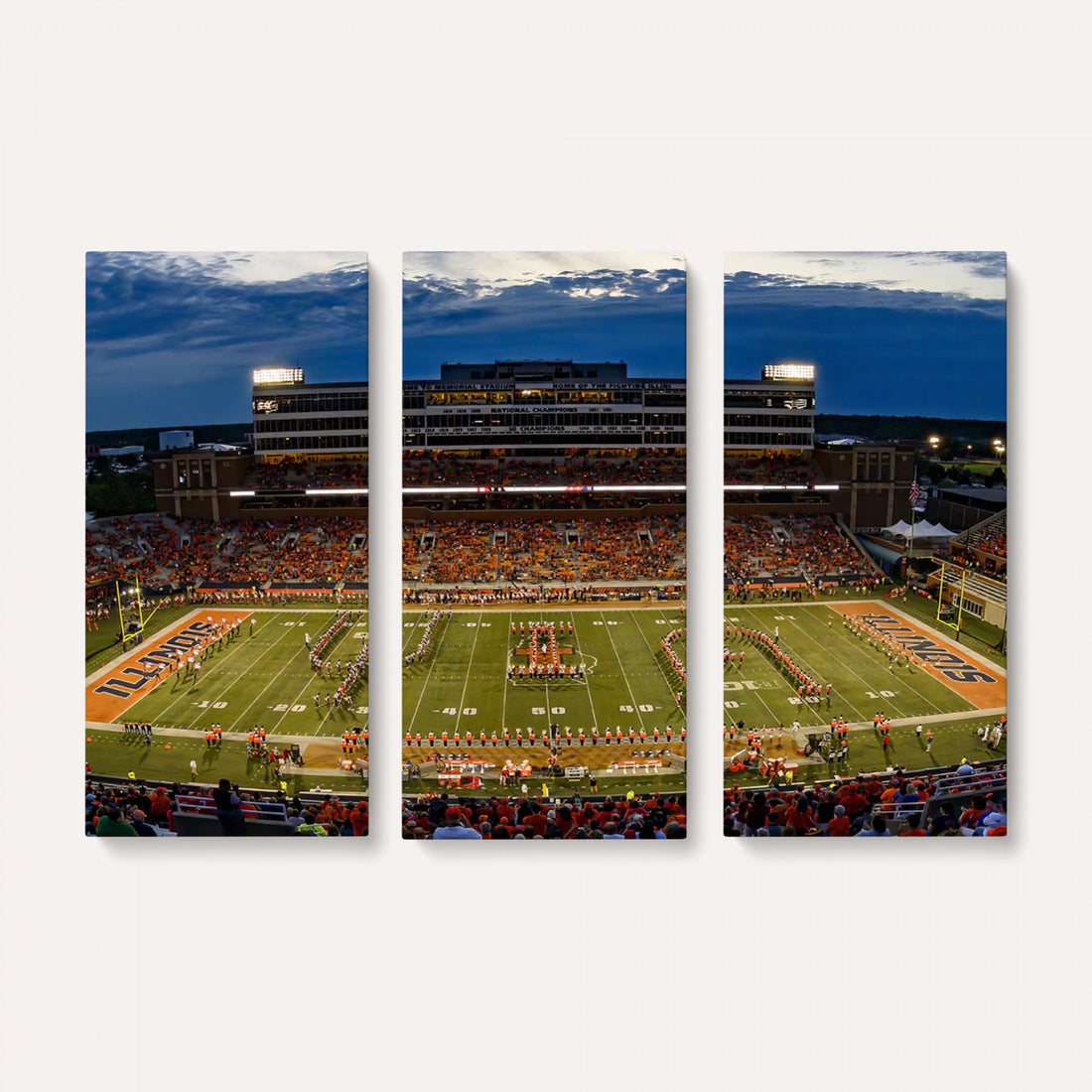 University of Illinois Fighting Illini Football Team Print