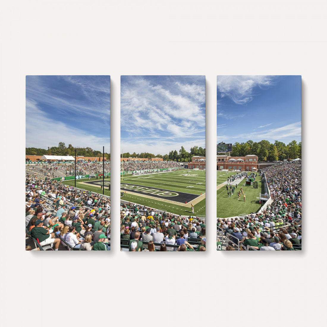 University of Charlotte 49ers Football Team Print, Framed and Ready to Hang
