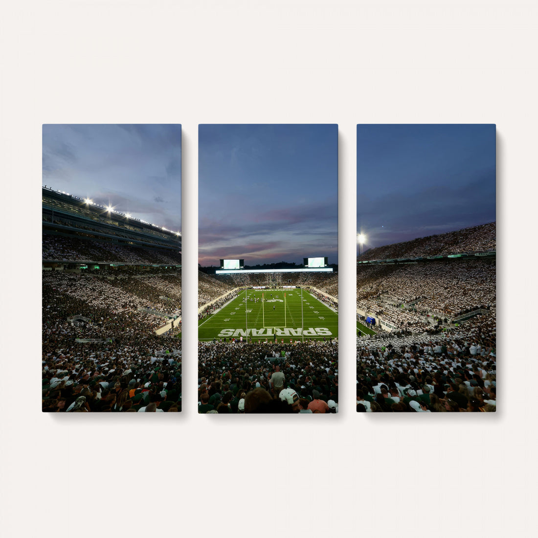 Michigan State Spartans Football Team Print, East Lansing