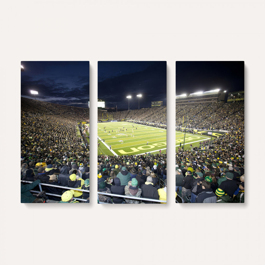 University of Oregon Ducks Football Team Print, Eugene