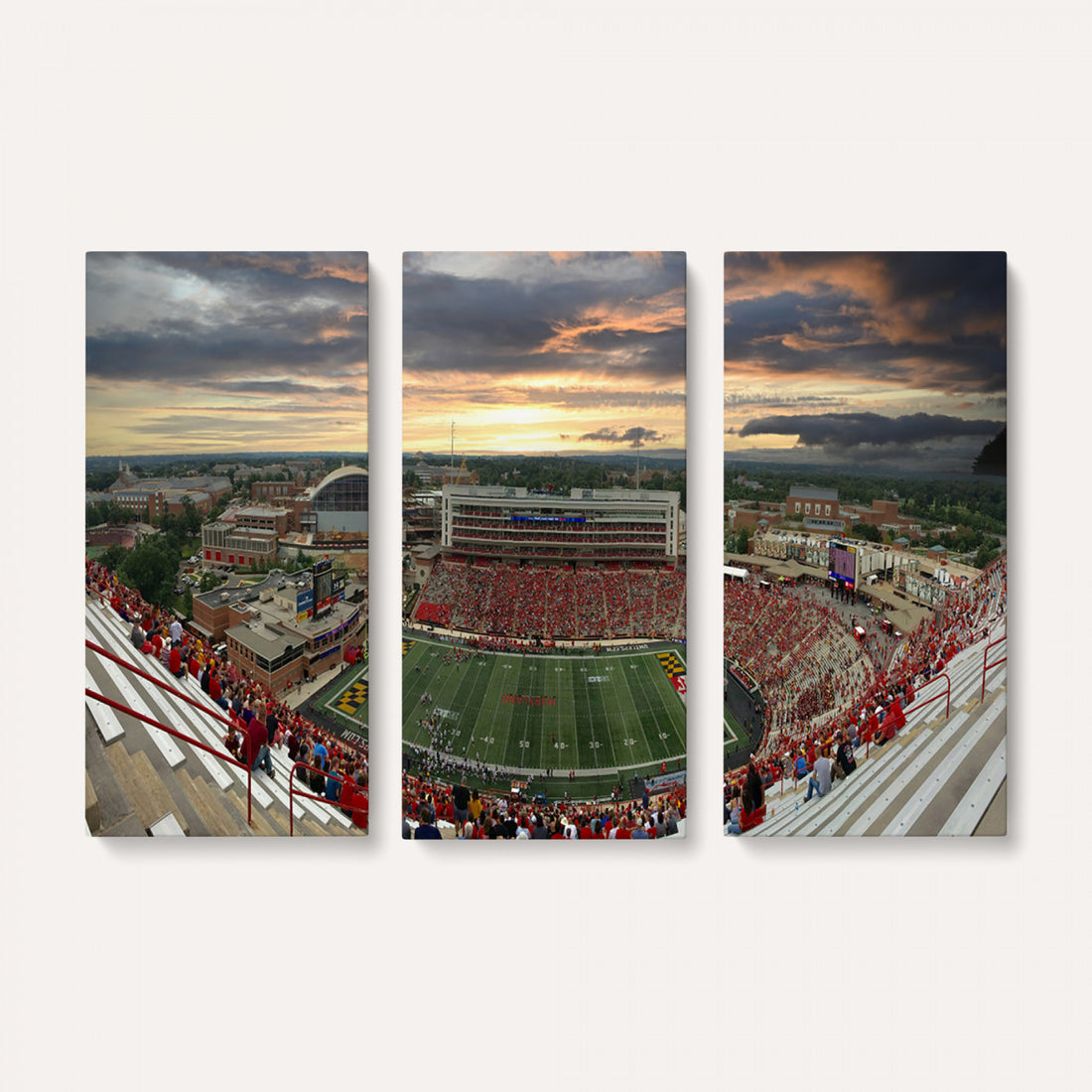 University of Maryland Terrapins Football Team Print