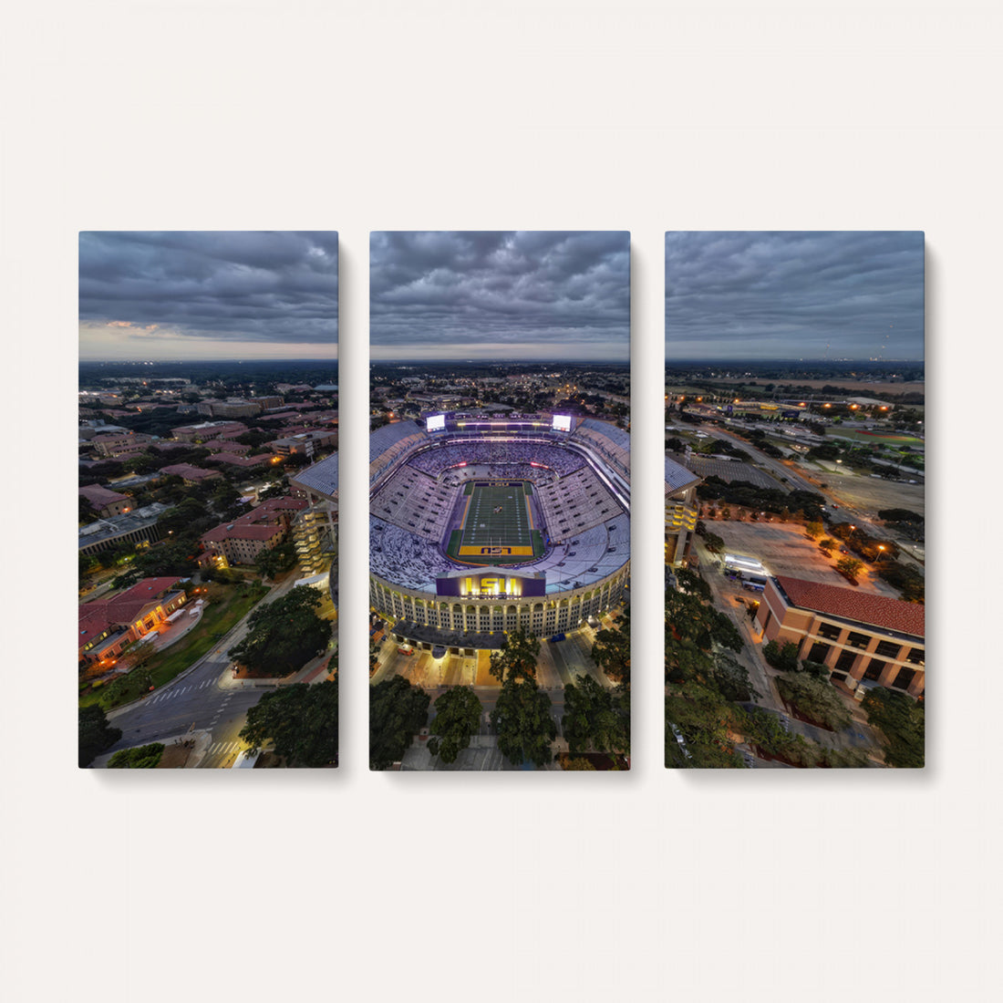 The Louisiana State University Tigers Football Team Print