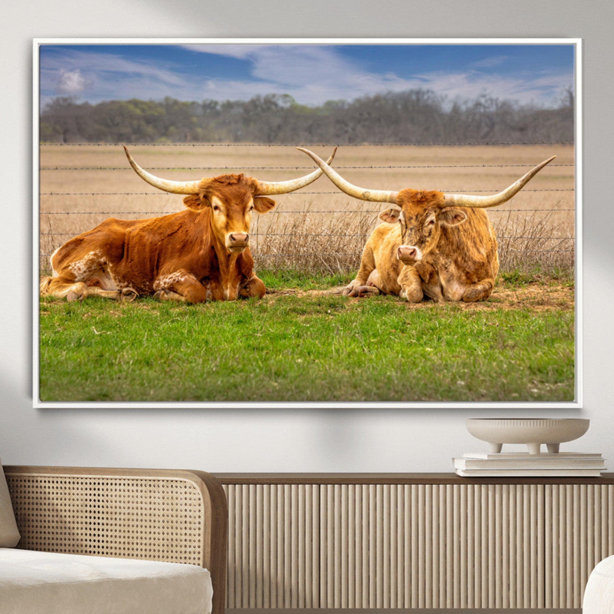 Two longhorn cows lying on green grass in front of a golden field and trees under a blue sky, perfect for rustic country wall decor.