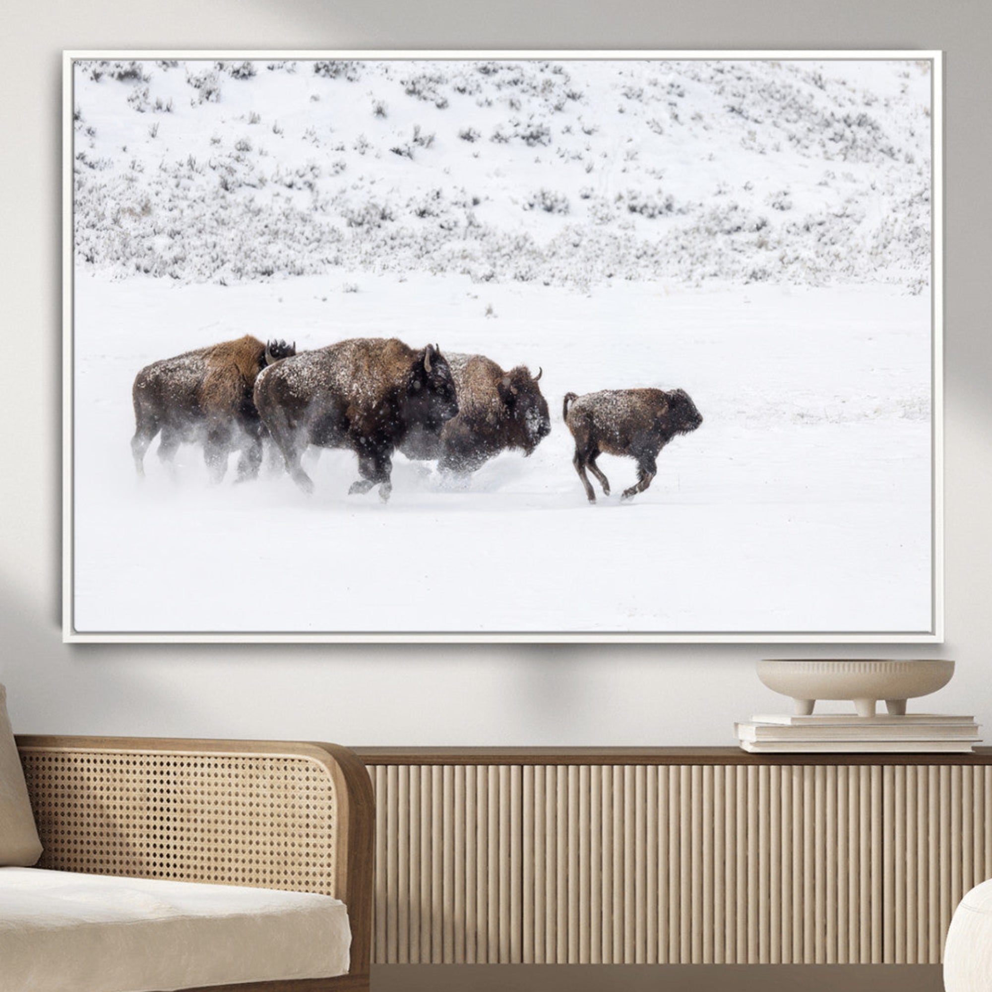 Bison herd running through a snowy open field with mountain backdrop, perfect for rustic or western-themed wall decoration.