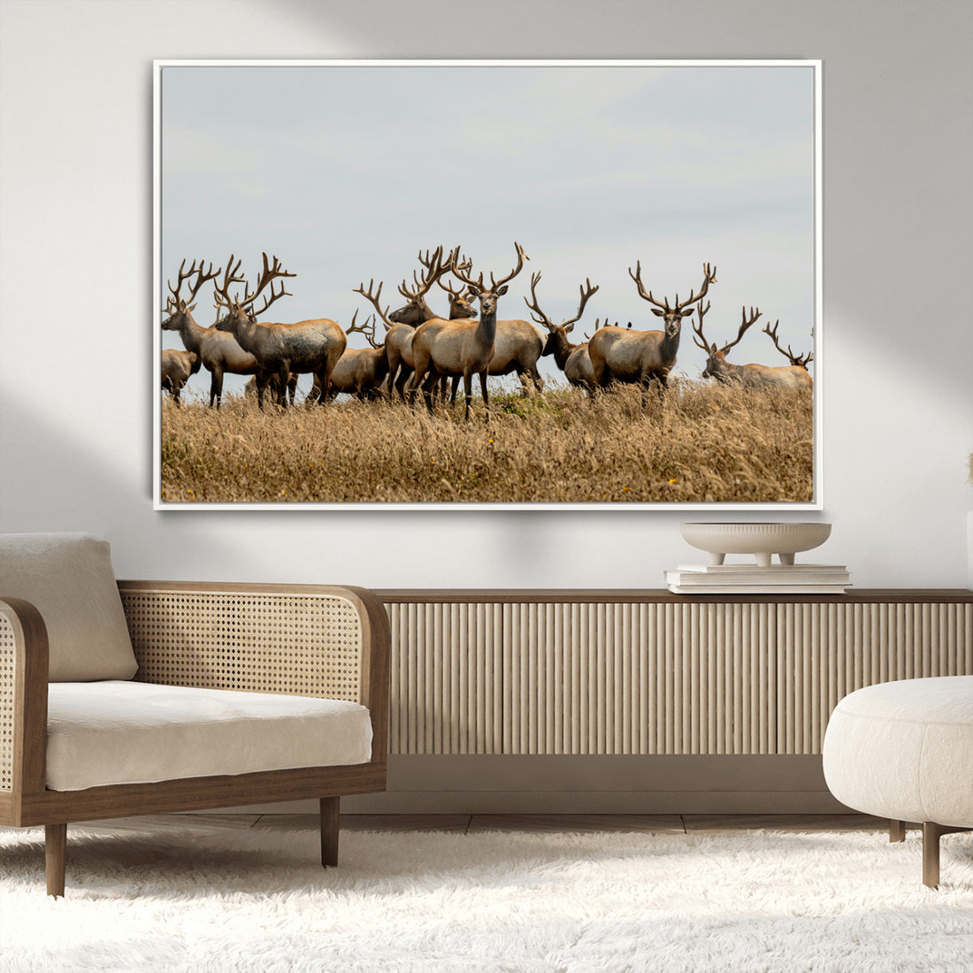 Elk Herd Wall Art Canvas Print, Framed Wildlife Photography Art, Majestic Antlers Rustic Wildlife Decor