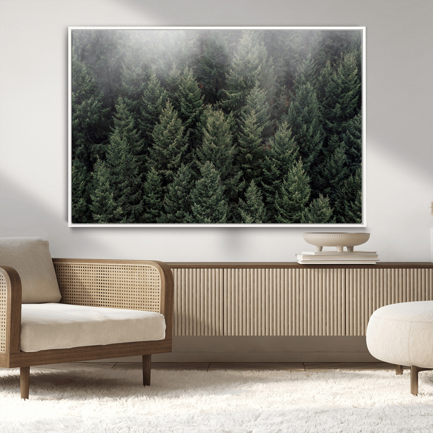 -Dense Evergreen Forest Misty Morning Fog Pine Trees Woodland Nature Landscape Calm Peaceful Scenic