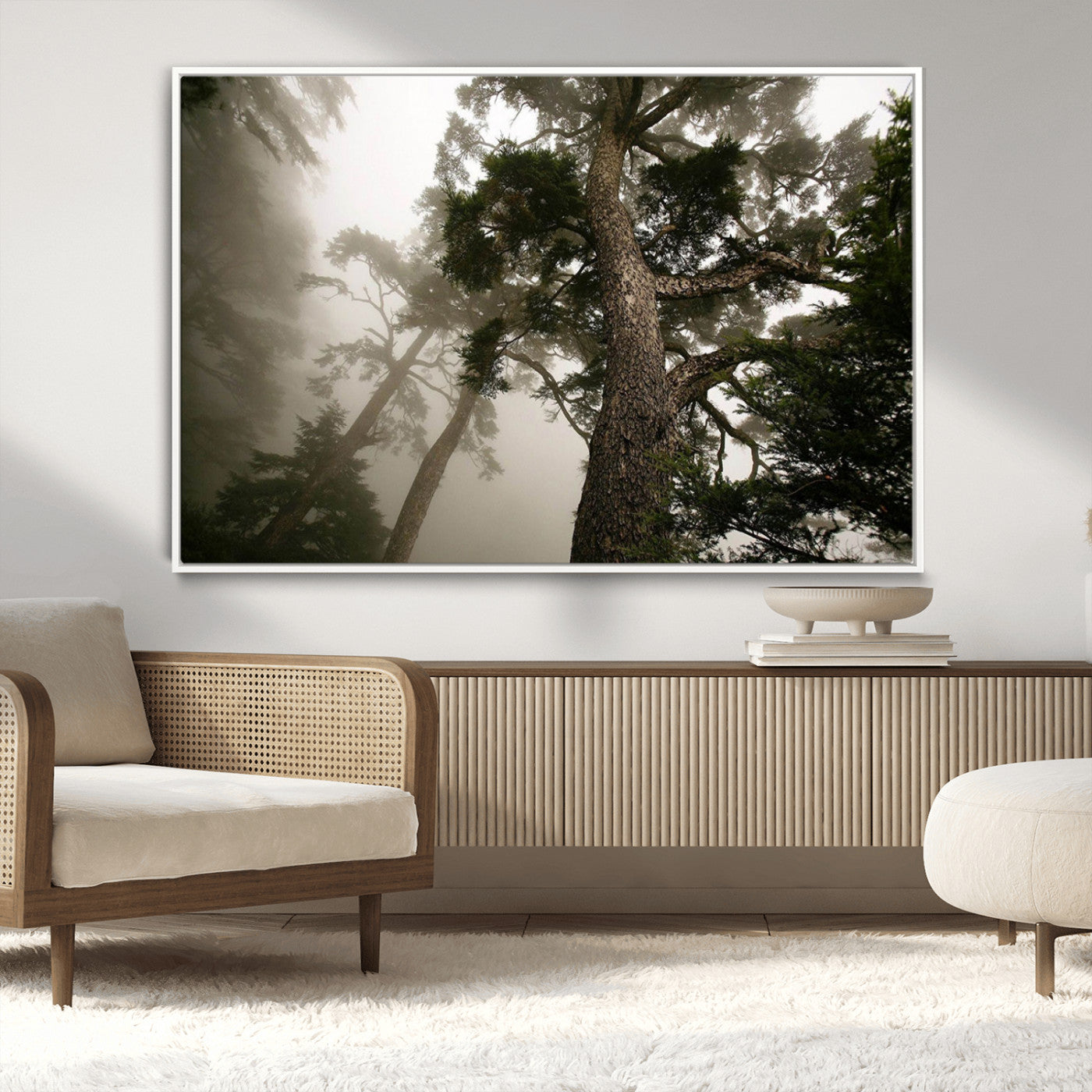 -Misty Forest Tall Trees Foggy Atmosphere Nature Serenity Calm Wooded Landscape Tranquil Scene