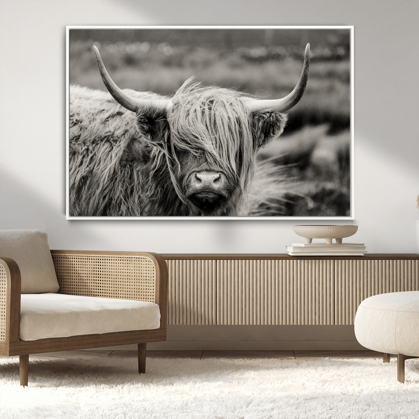 -Cow Focus Canvas Wall Art Print