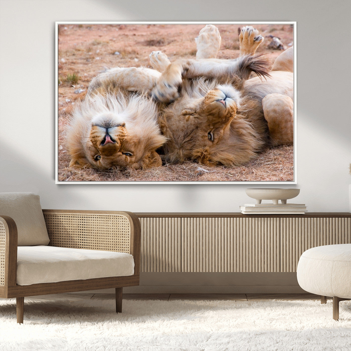 -Lion Pair Wall Art Canvas Print – Framed Wildlife Scene with Playful Lions Artwork for Home, Office, Living Room