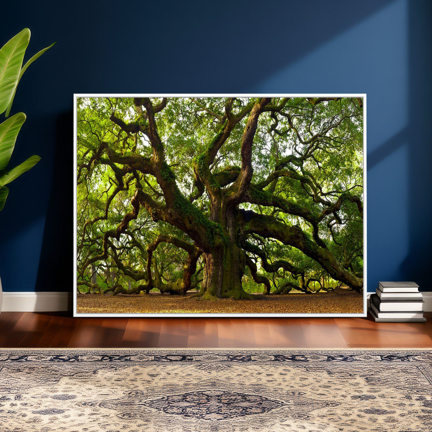 29407-MGV-CV-36X24 - Angel Oak Tree Wall Art Canvas Print | Large Forest Tree Nature Photography Print on Canvas