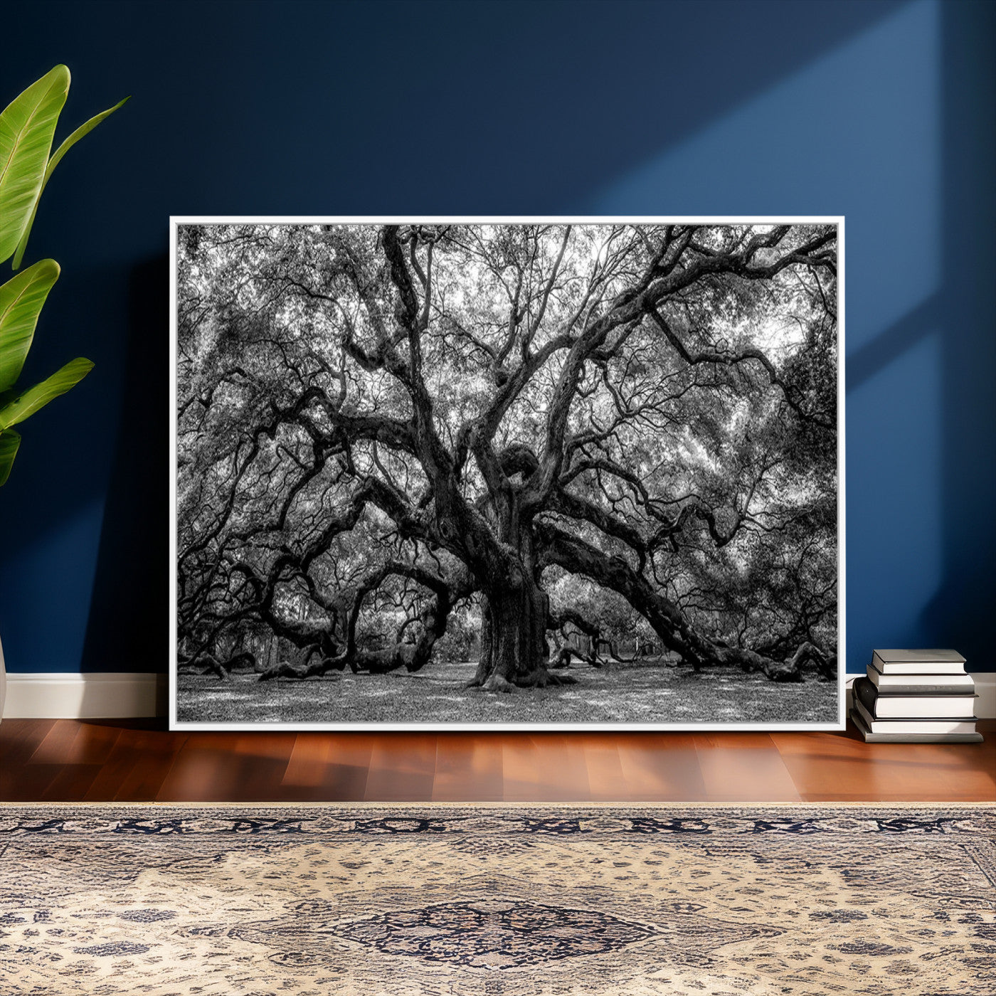 132944706-MGV-CV-36X24 - Black and White Old Angel Oak Tree Wall Art Canvas Print
