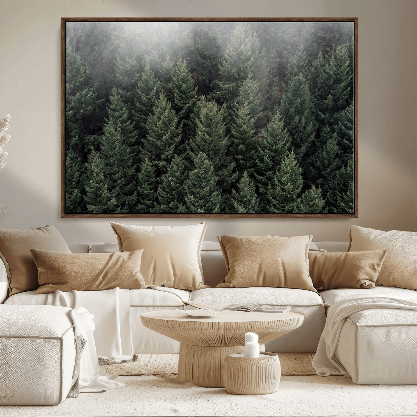 -Dense Evergreen Forest Misty Morning Fog Pine Trees Woodland Nature Landscape Calm Peaceful Scenic