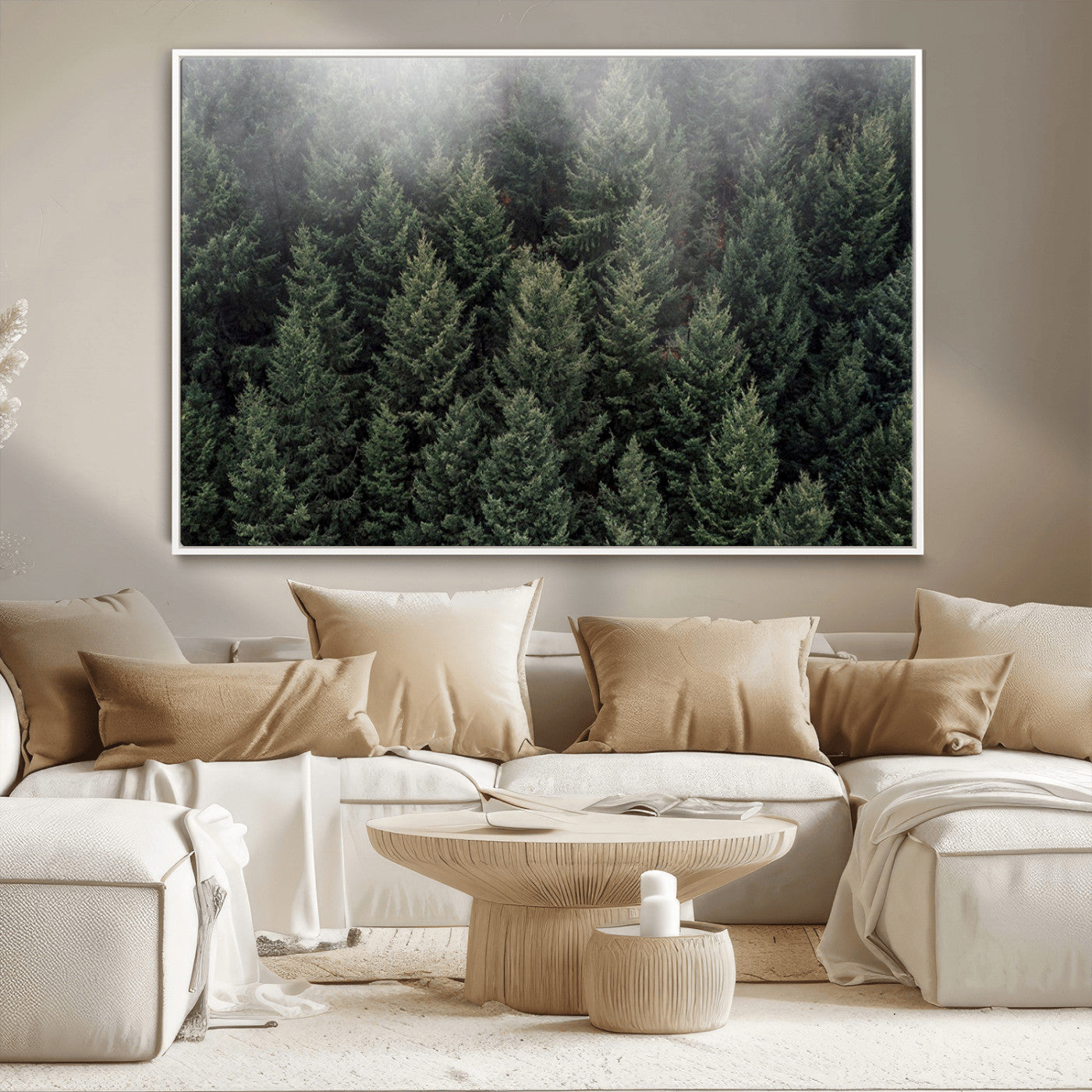 -Dense Evergreen Forest Misty Morning Fog Pine Trees Woodland Nature Landscape Calm Peaceful Scenic