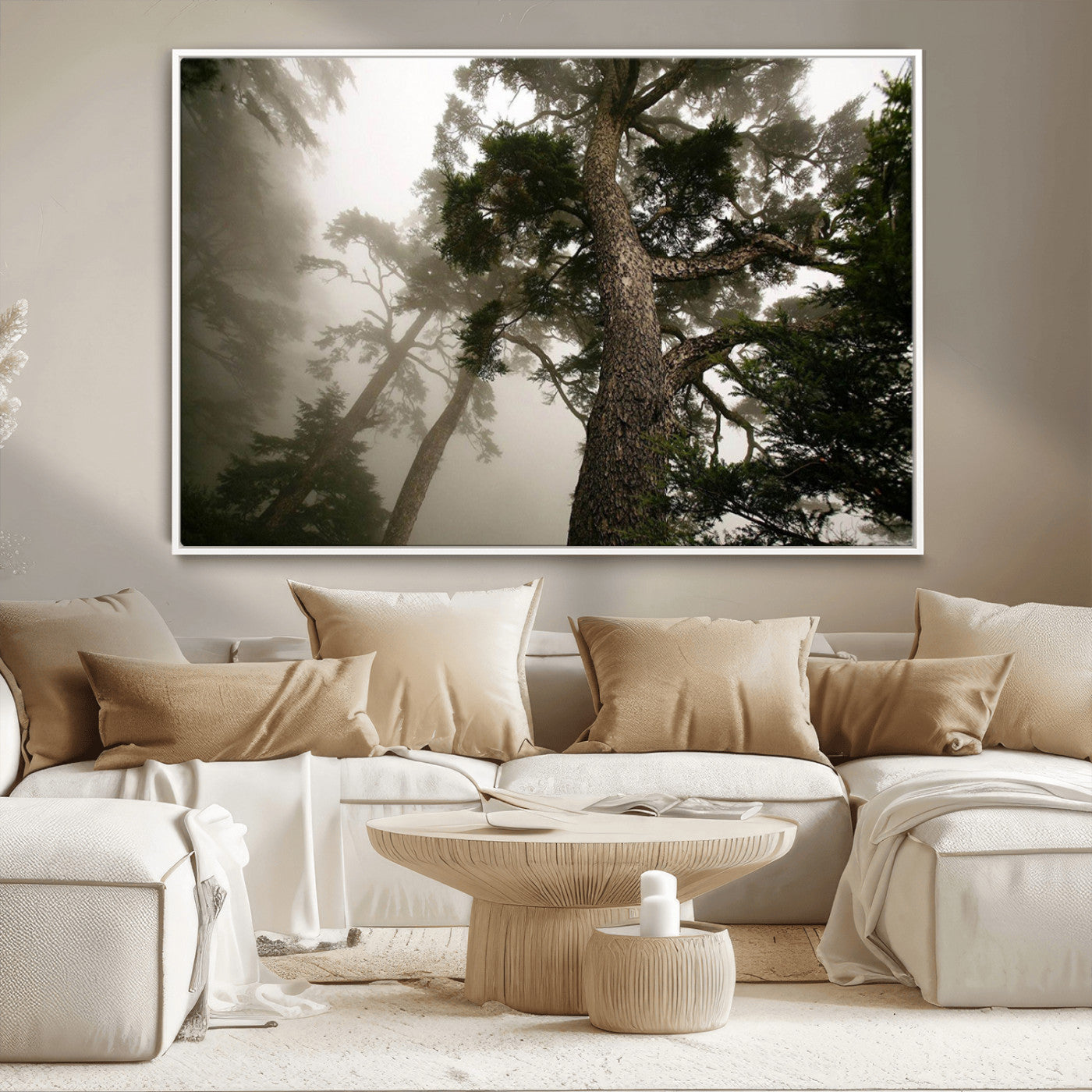 -Misty Forest Tall Trees Foggy Atmosphere Nature Serenity Calm Wooded Landscape Tranquil Scene