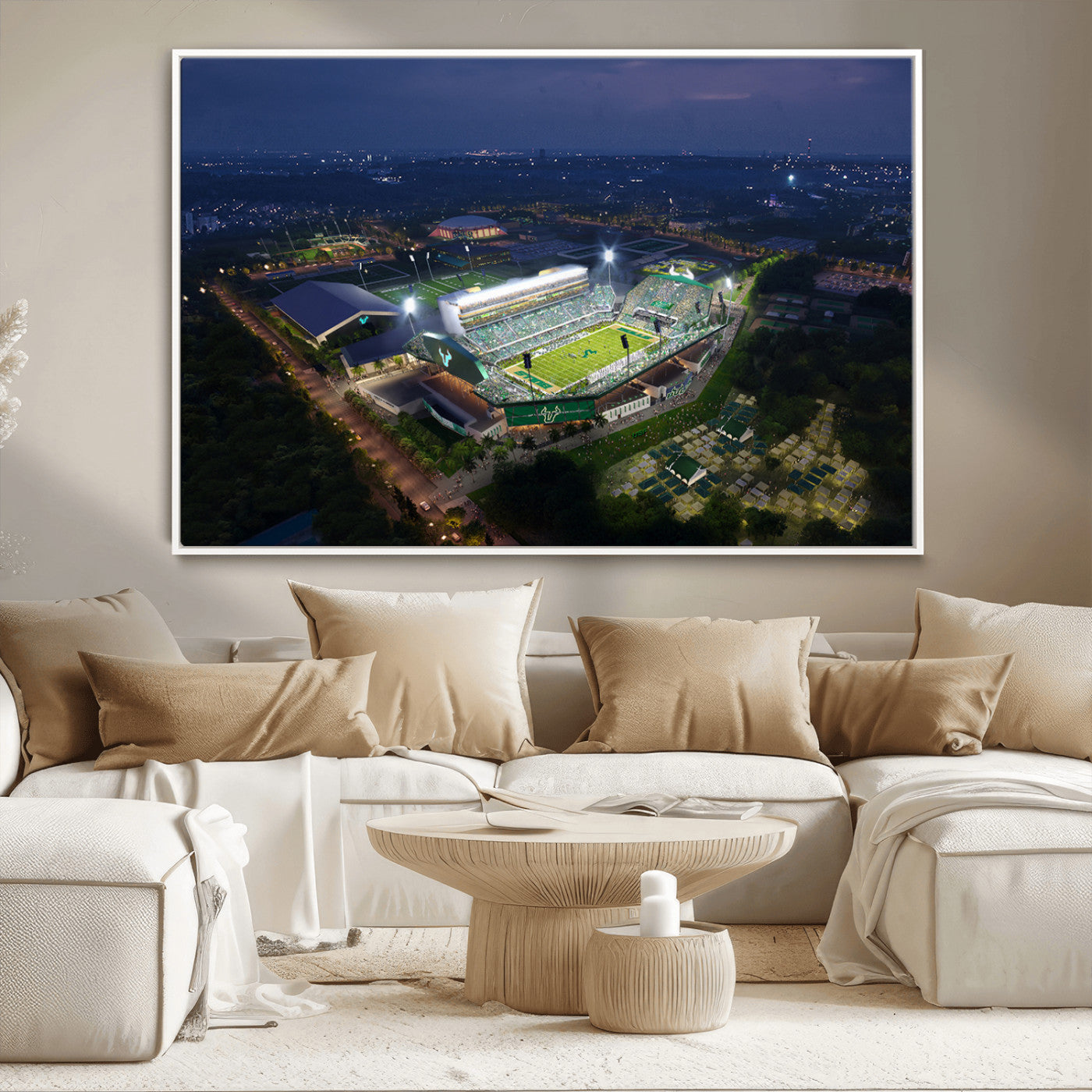 -The University of South Florida Bulls Football Team Print - Tampa USF Football Stadium Wall Art