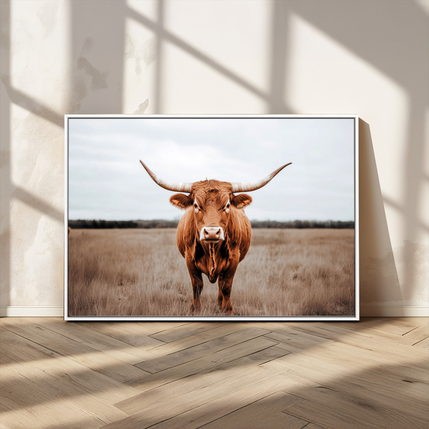16316734-MGV-FC-36X24 - Longhorn bull, open field, rustic charm, natural beauty, Wall Art Canvas Print, countryside,