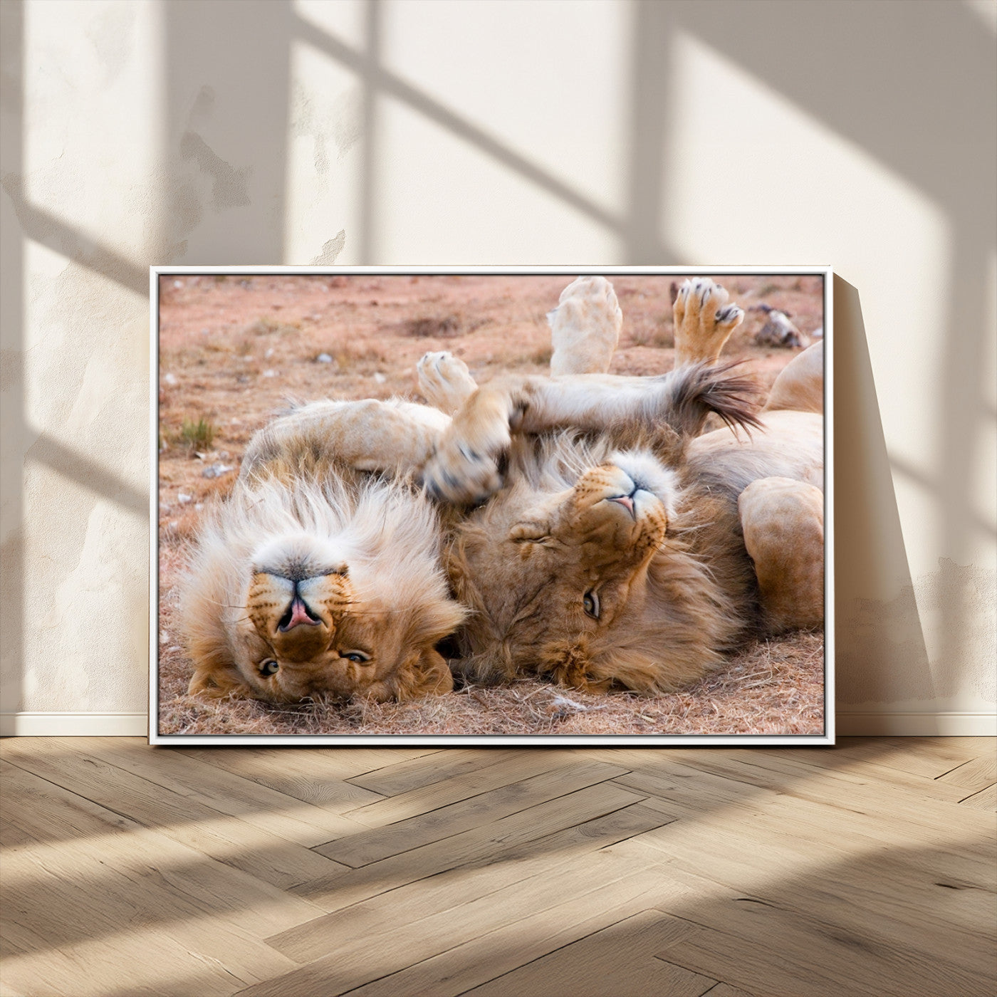 -Lion Pair Wall Art Canvas Print – Framed Wildlife Scene with Playful Lions Artwork for Home, Office, Living Room