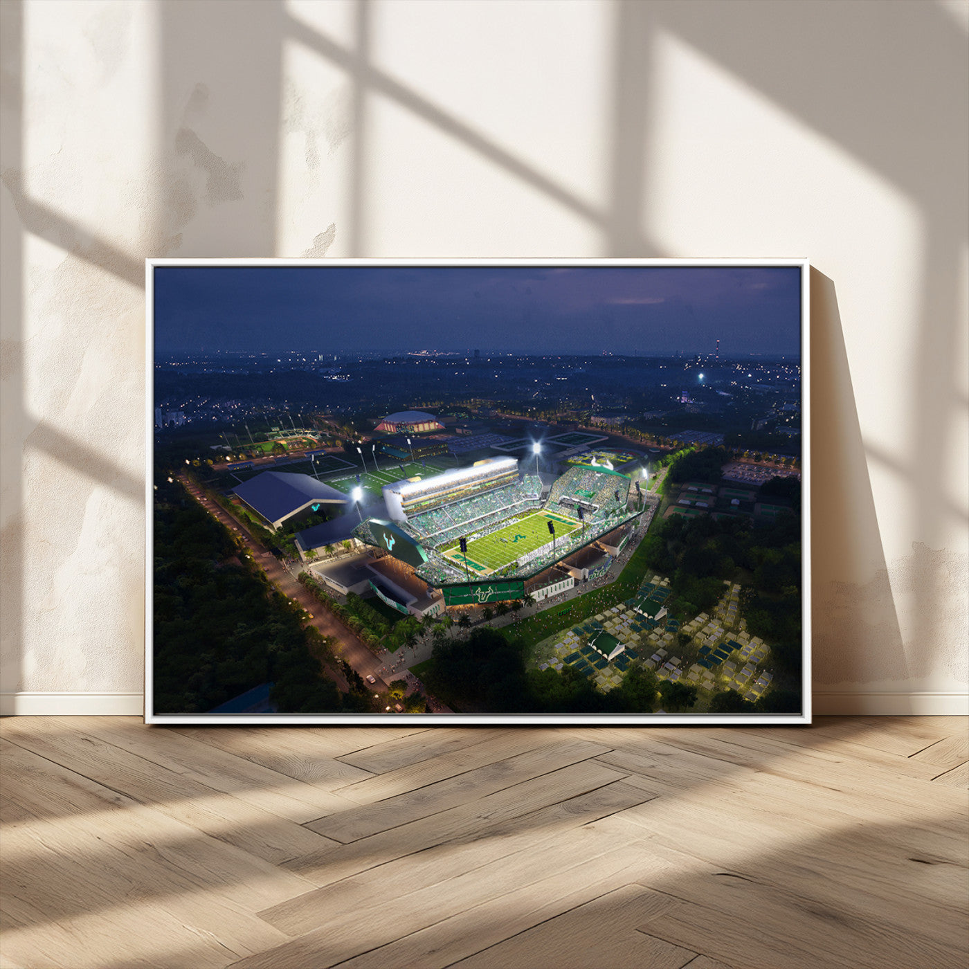 -The University of South Florida Bulls Football Team Print - Tampa USF Football Stadium Wall Art