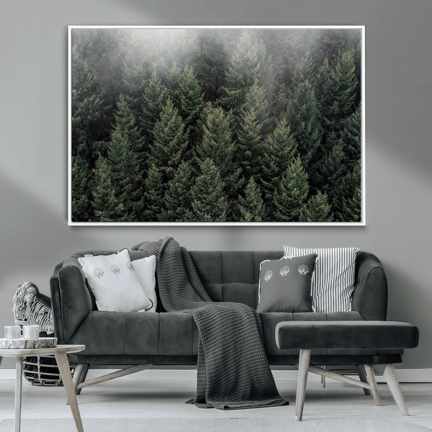 -Dense Evergreen Forest Misty Morning Fog Pine Trees Woodland Nature Landscape Calm Peaceful Scenic