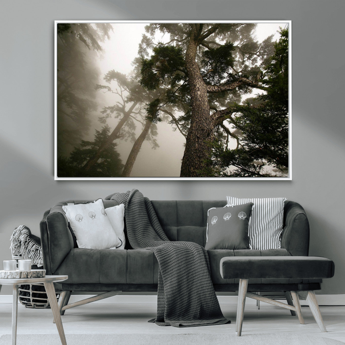 -Misty Forest Tall Trees Foggy Atmosphere Nature Serenity Calm Wooded Landscape Tranquil Scene