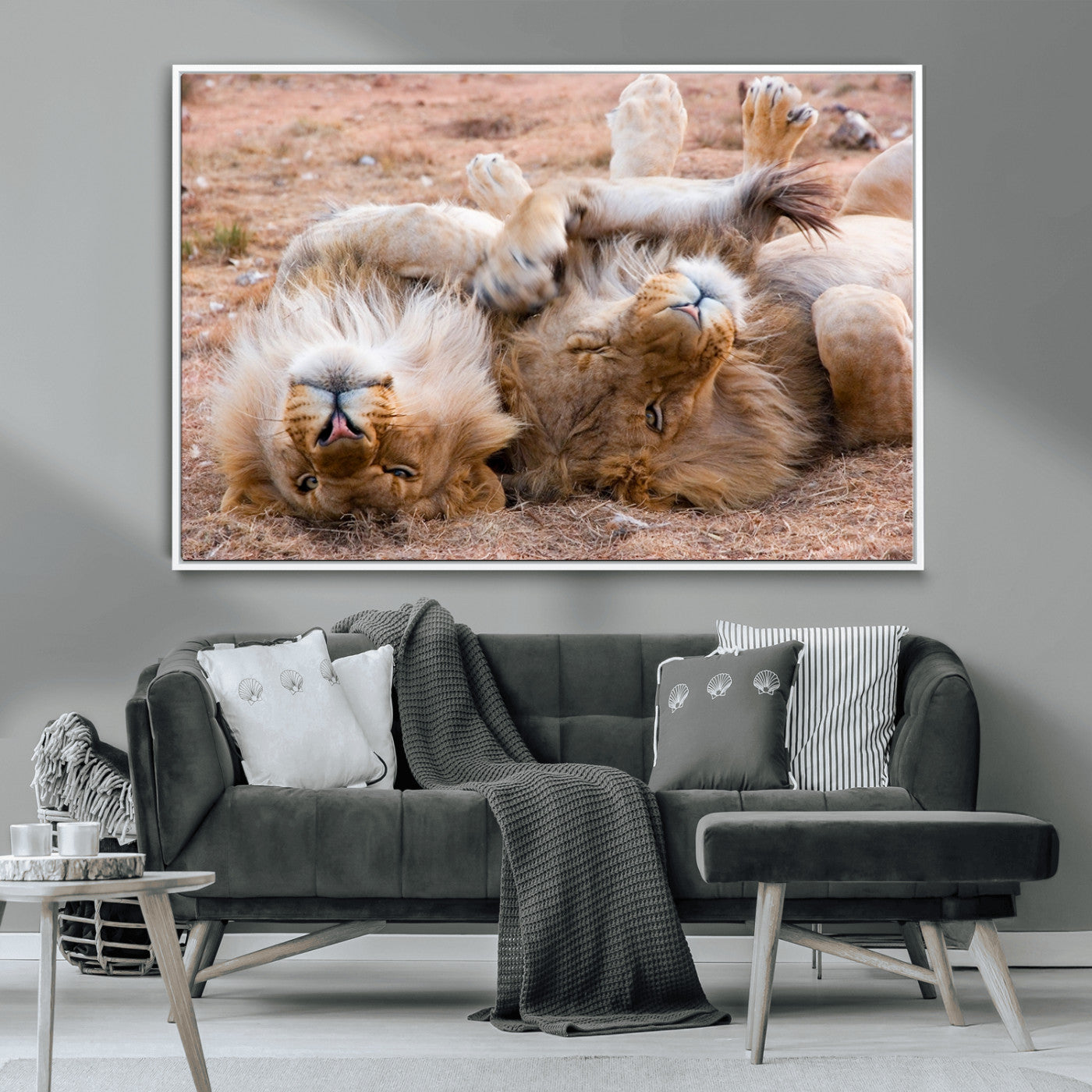 -Lion Pair Wall Art Canvas Print – Framed Wildlife Scene with Playful Lions Artwork for Home, Office, Living Room