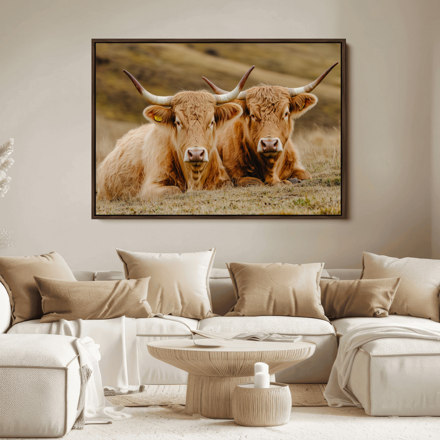 Two Highland cows resting on a golden field with soft focus hills, ideal for rustic farmhouse or cozy cabin style decor.