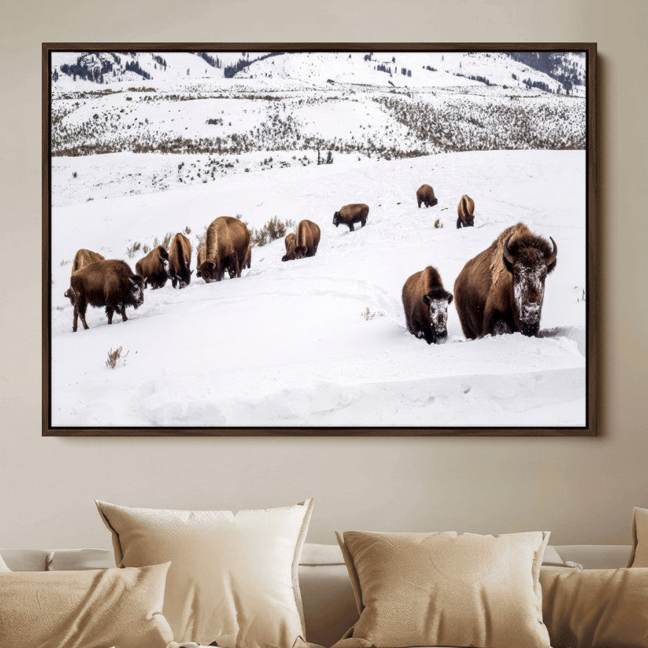 A herd of bison walking through deep snow in a mountain valley, perfect for rustic, cabin or western-themed wall decor.
