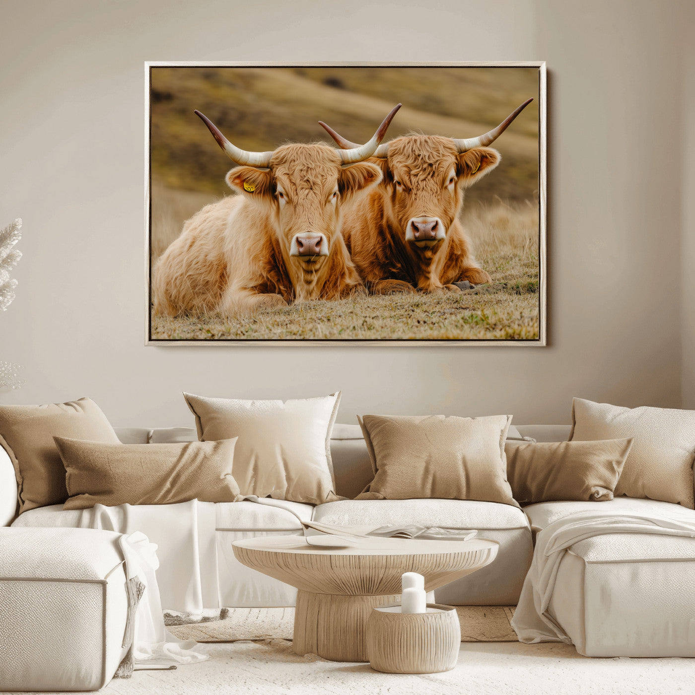 Two Highland cows resting on a golden field with soft focus hills, ideal for rustic farmhouse or cozy cabin style decor.