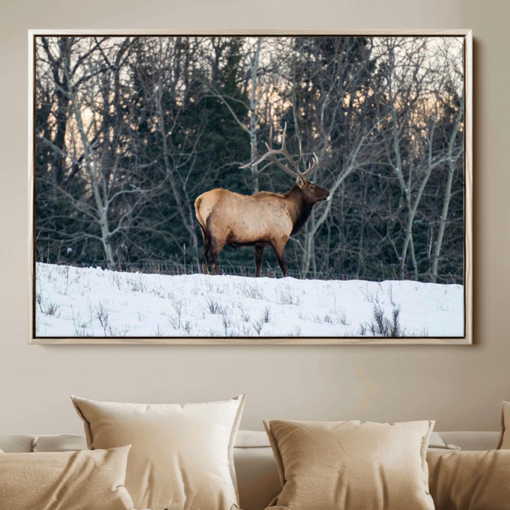 A majestic elk with large antlers standing in a snowy field against a winter forest backdrop, perfect for rustic and wildlife-themed home decor.