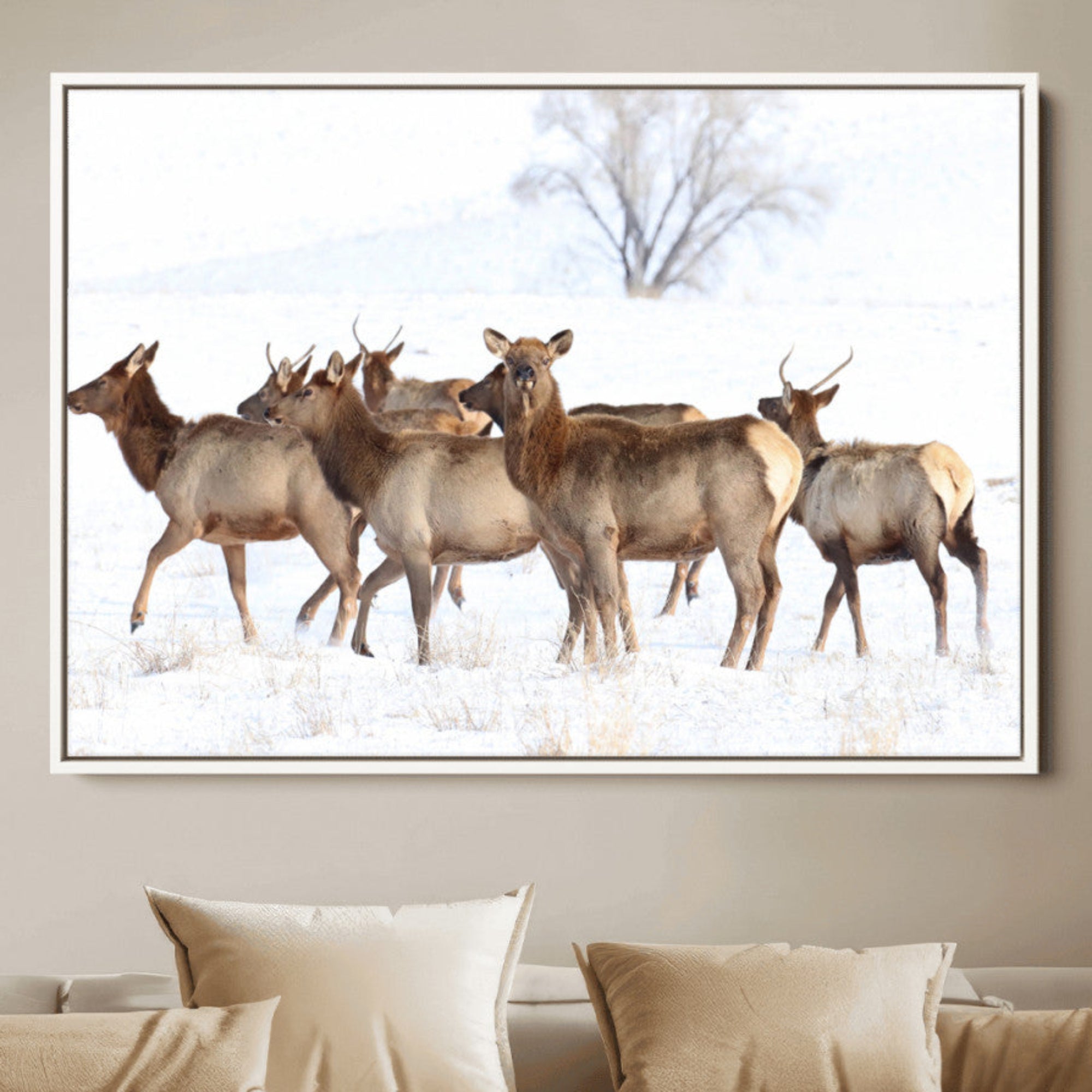 A herd of elk standing on snow-covered ground with a bare tree in the background, showcasing natural wildlife in a winter landscape.