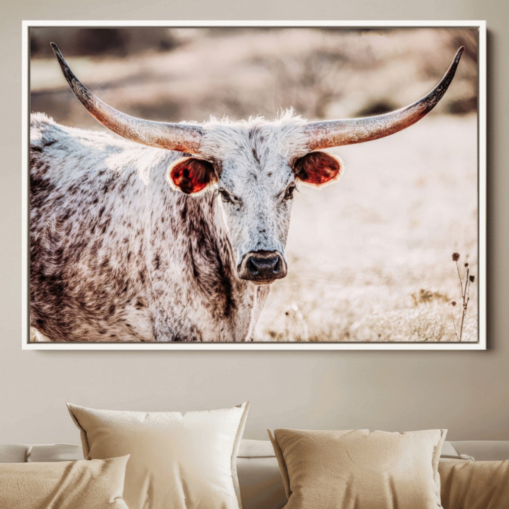 Close-up photograph of a white and brown speckled longhorn cow with very large, curved horns standing in a sunlit field with dry grass and blurred background.