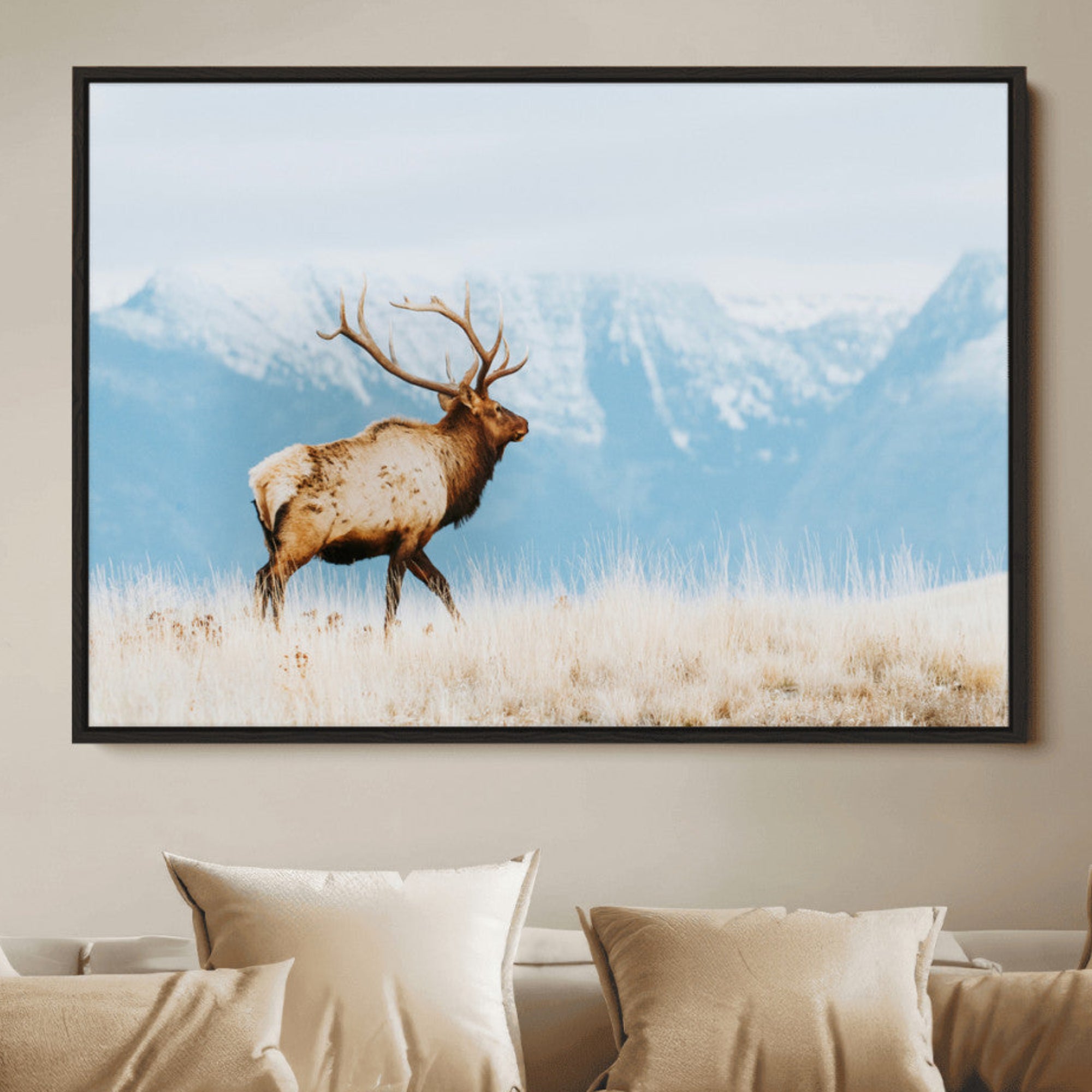 Majestic elk with antlers walking on golden grass, snowy mountains behind, perfect for rustic lodge or Scandinavian decor.