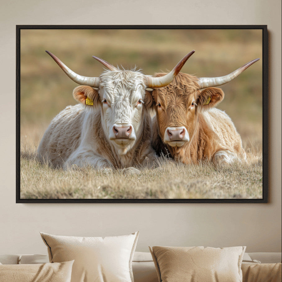 Two cows laying closely in a dry grassy field, captured in soft light, perfect for rustic farmhouse or western style home decor.