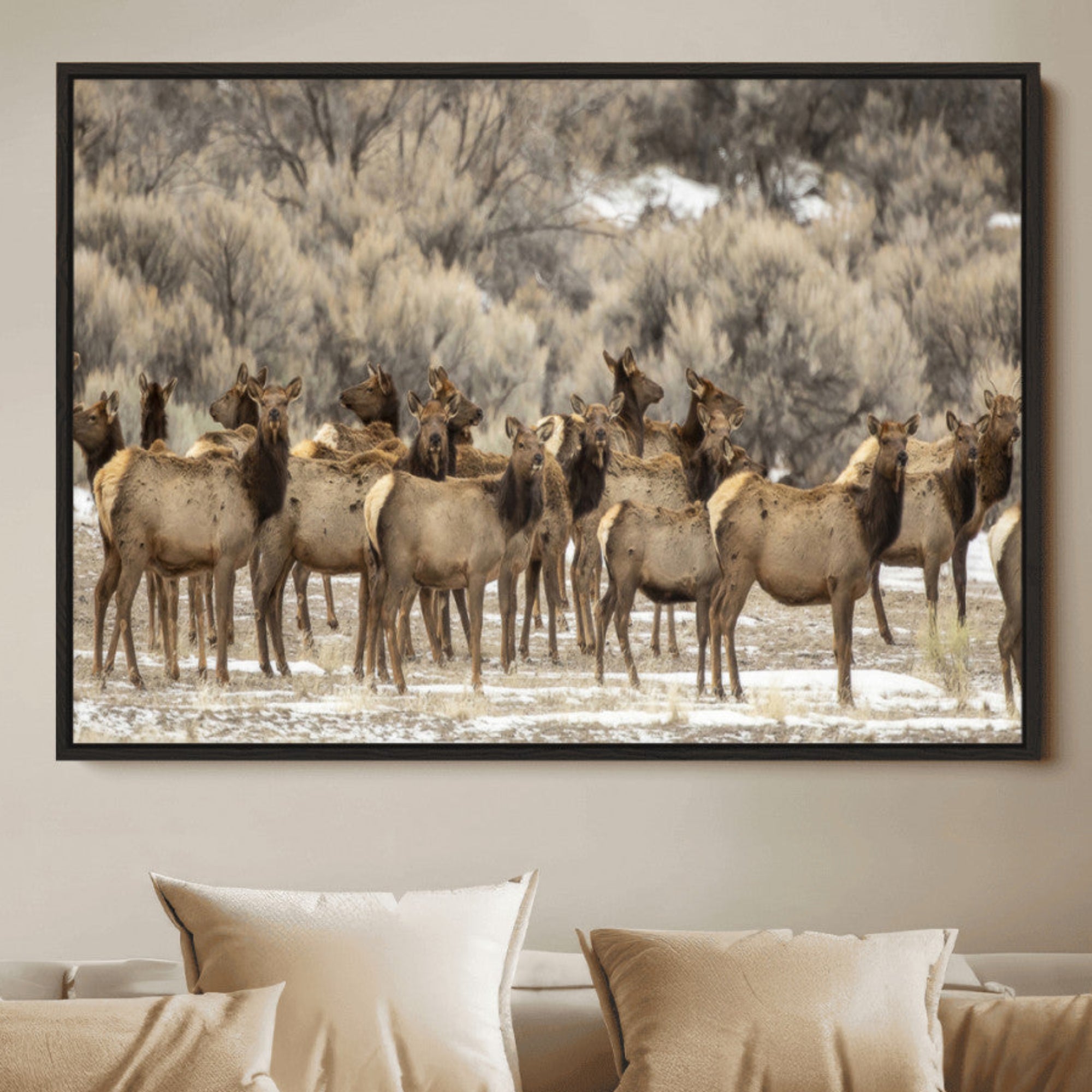 A large herd of elk standing in an open field with soft earthy tones, ideal for rustic lodge or western-themed home wall decor.