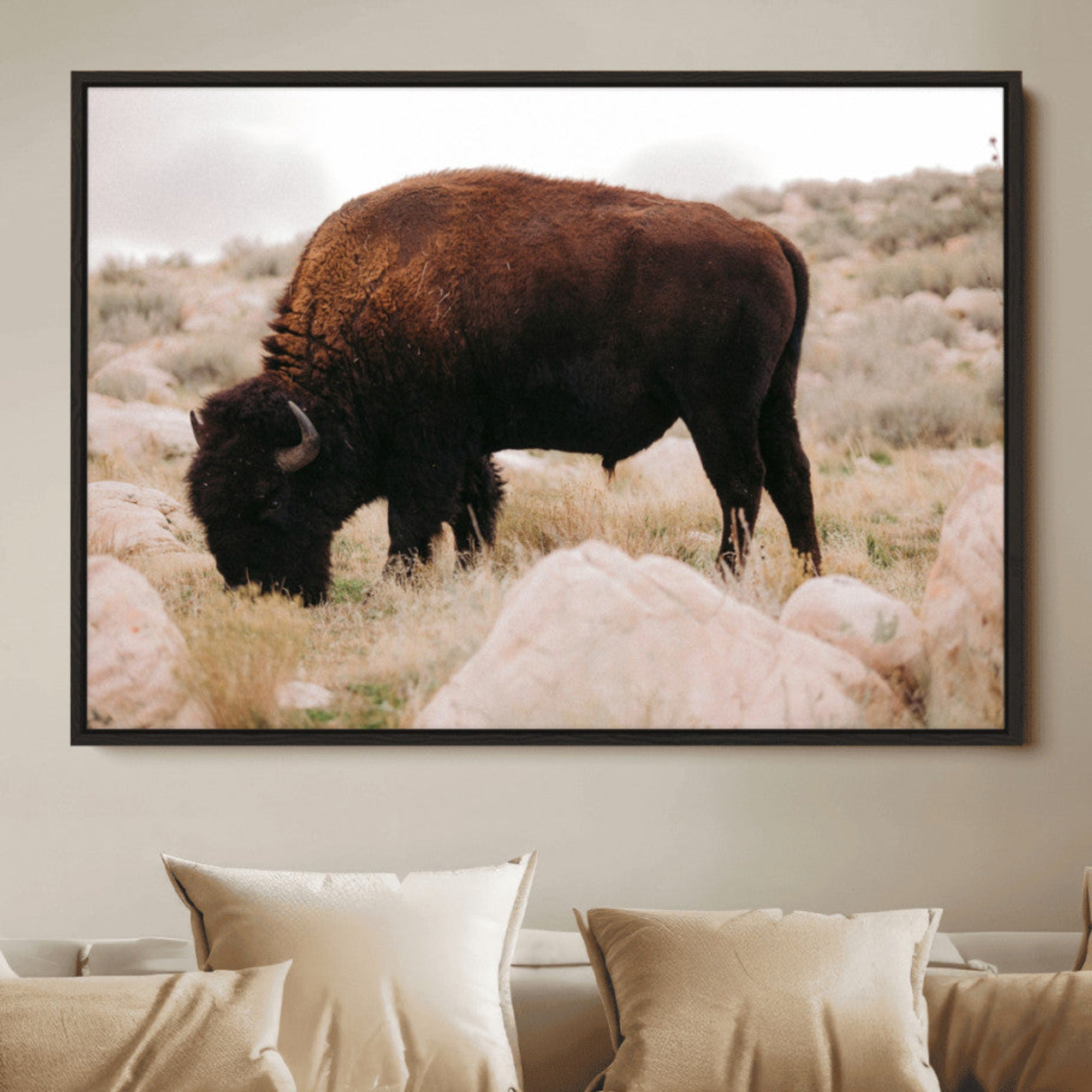 A solitary bison grazing in a rugged prairie with earthy tones and scattered rocks, capturing the essence of the American West for rustic decor.