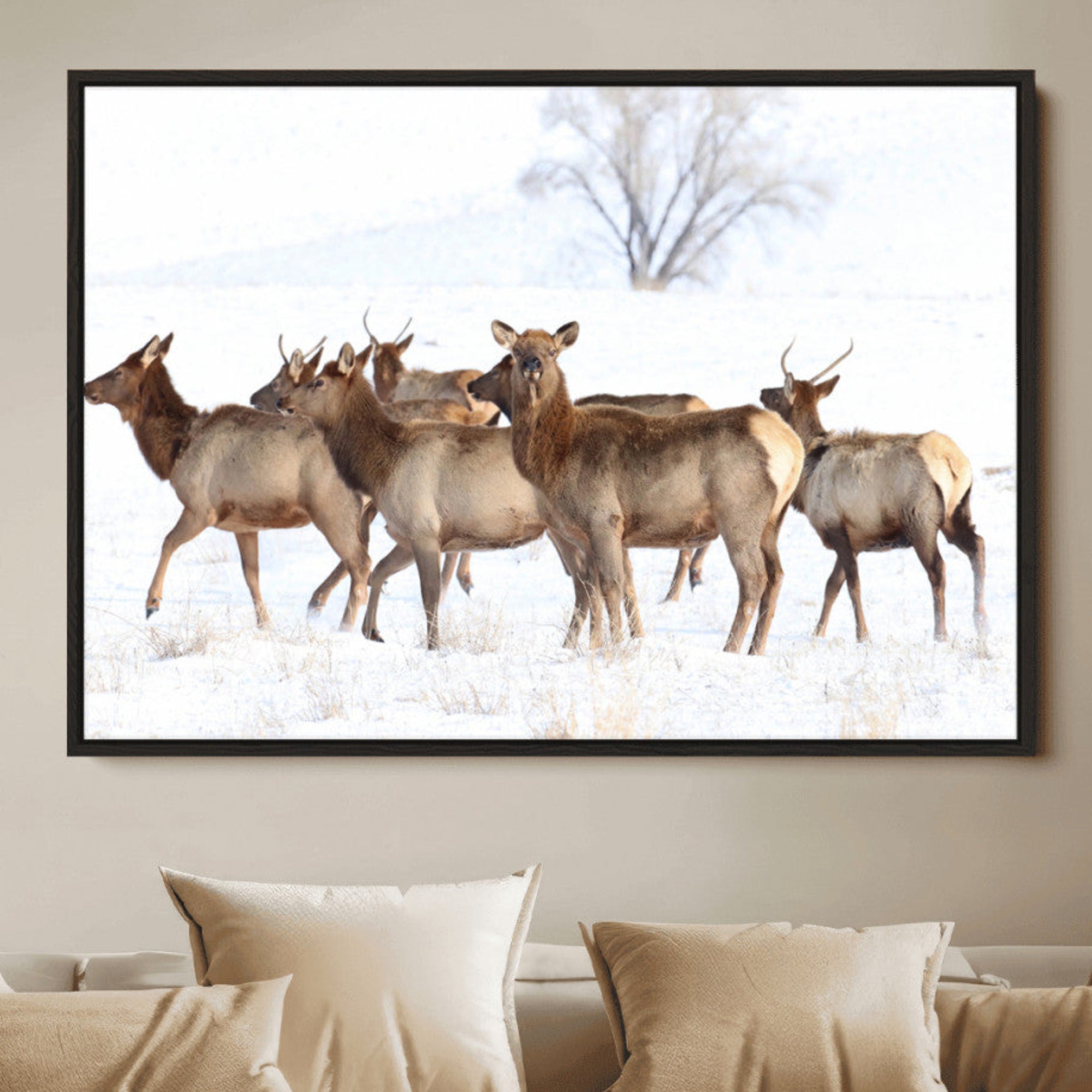 A herd of elk standing on snow-covered ground with a bare tree in the background, showcasing natural wildlife in a winter landscape.
