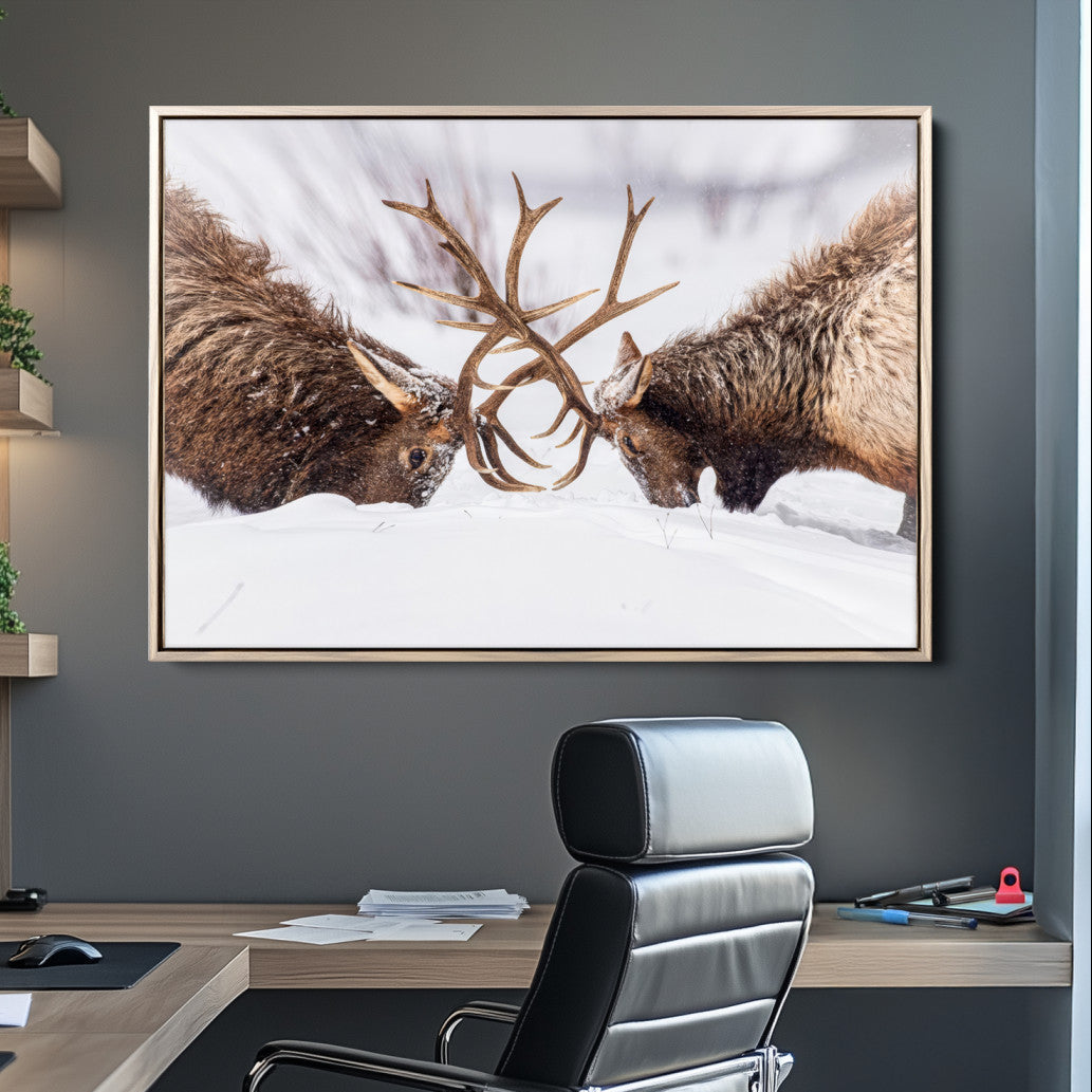 36507609-MGV-CV-36X24-Elk Clash Scene Wall Art Canvas Print – Framed Wildlife Strength Snowy Landscape Artwork for Home, Office