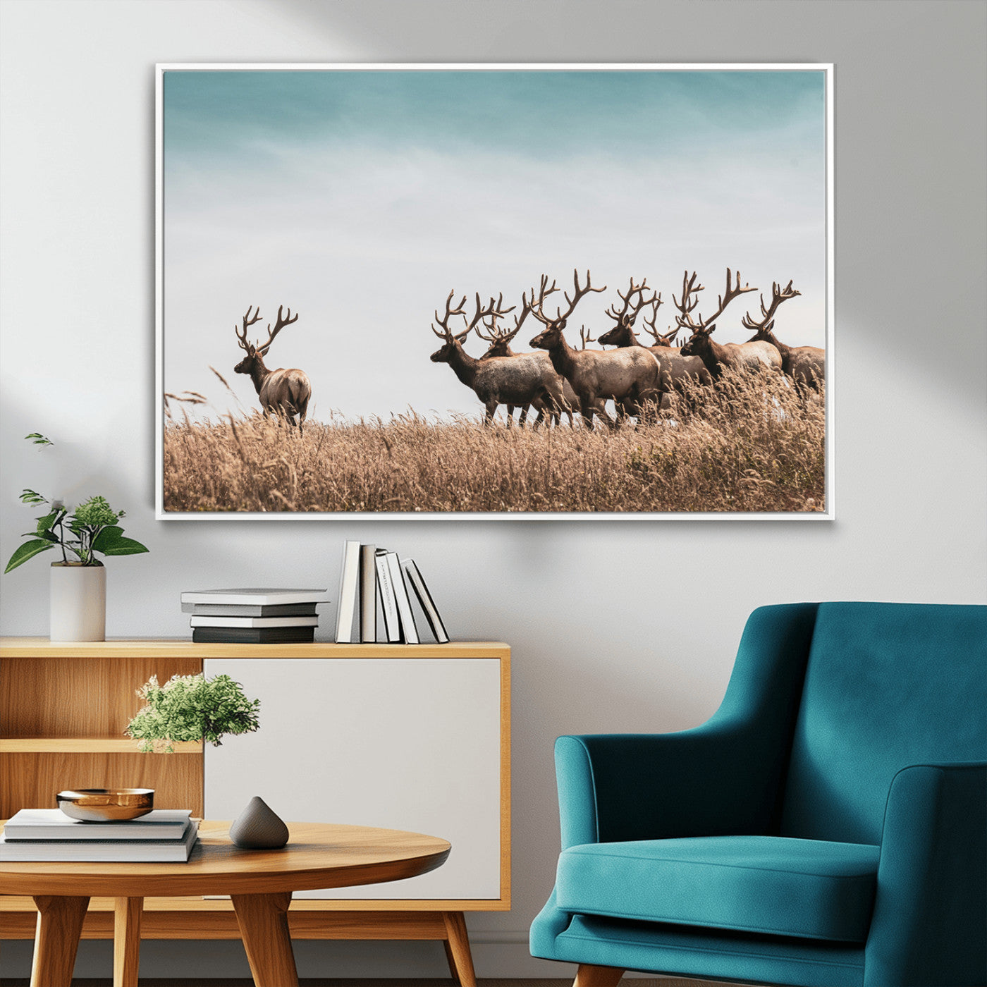 81594705-MGV-FC-36X24_White-Elk Herd Wall Art Canvas Print – Framed Wildlife Photography Rustic Nature Scene Artwork for Home, Office, Living Room