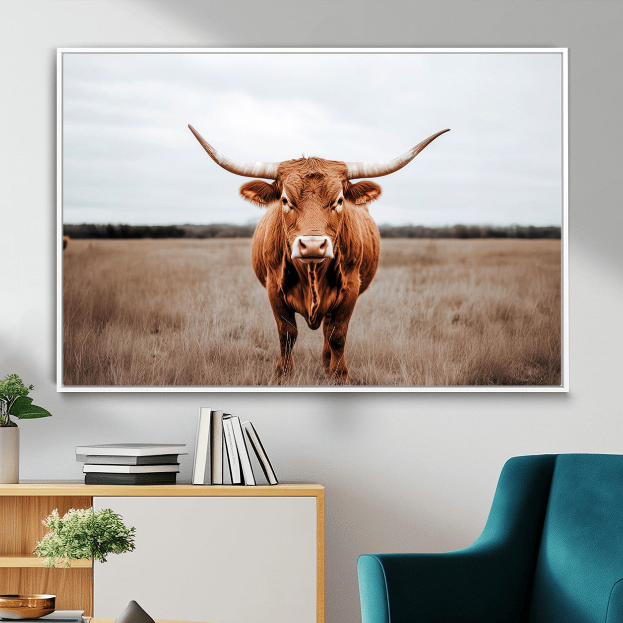 16316734-MGV-FC-36X24 - Longhorn bull, open field, rustic charm, natural beauty, Wall Art Canvas Print, countryside,