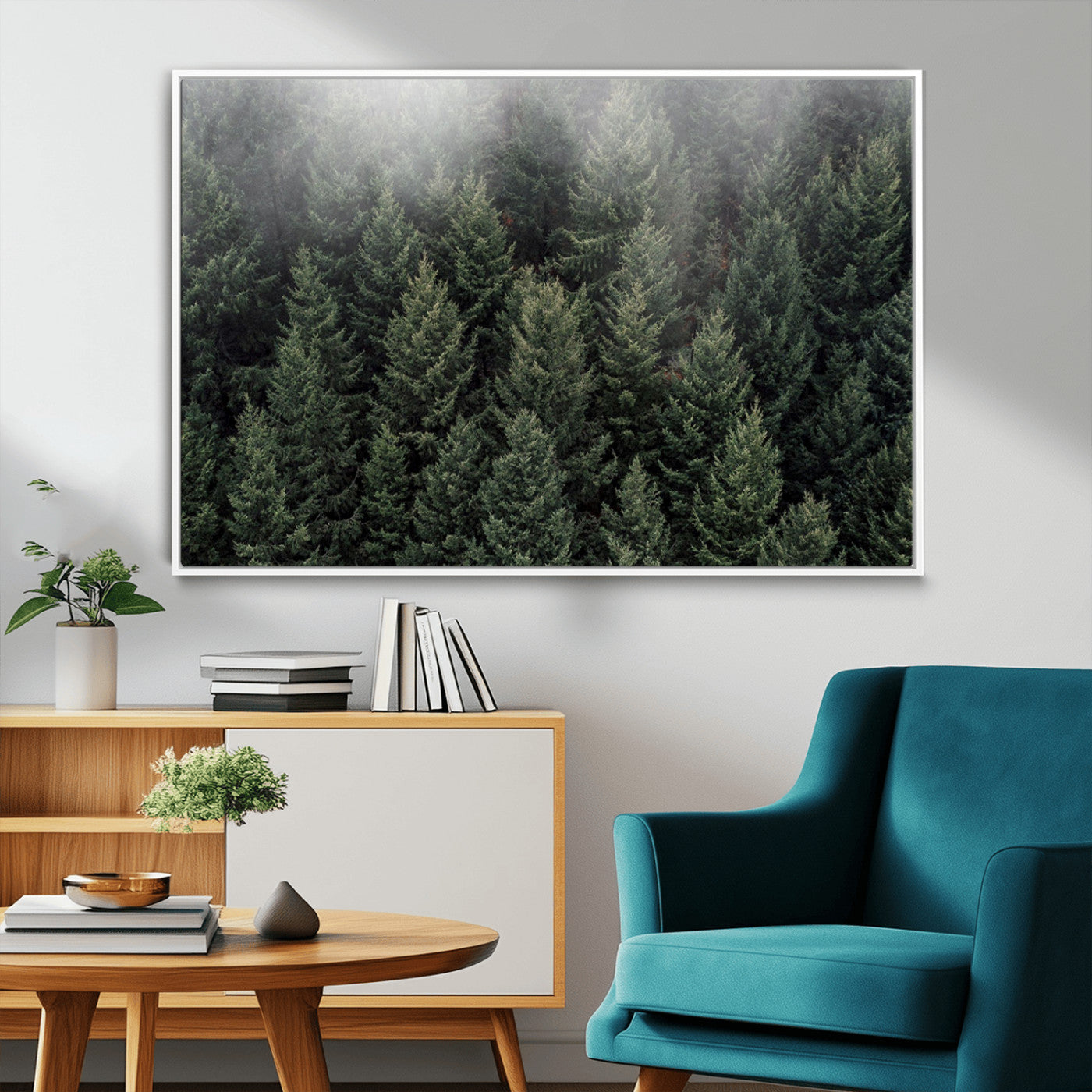 -Dense Evergreen Forest Misty Morning Fog Pine Trees Woodland Nature Landscape Calm Peaceful Scenic