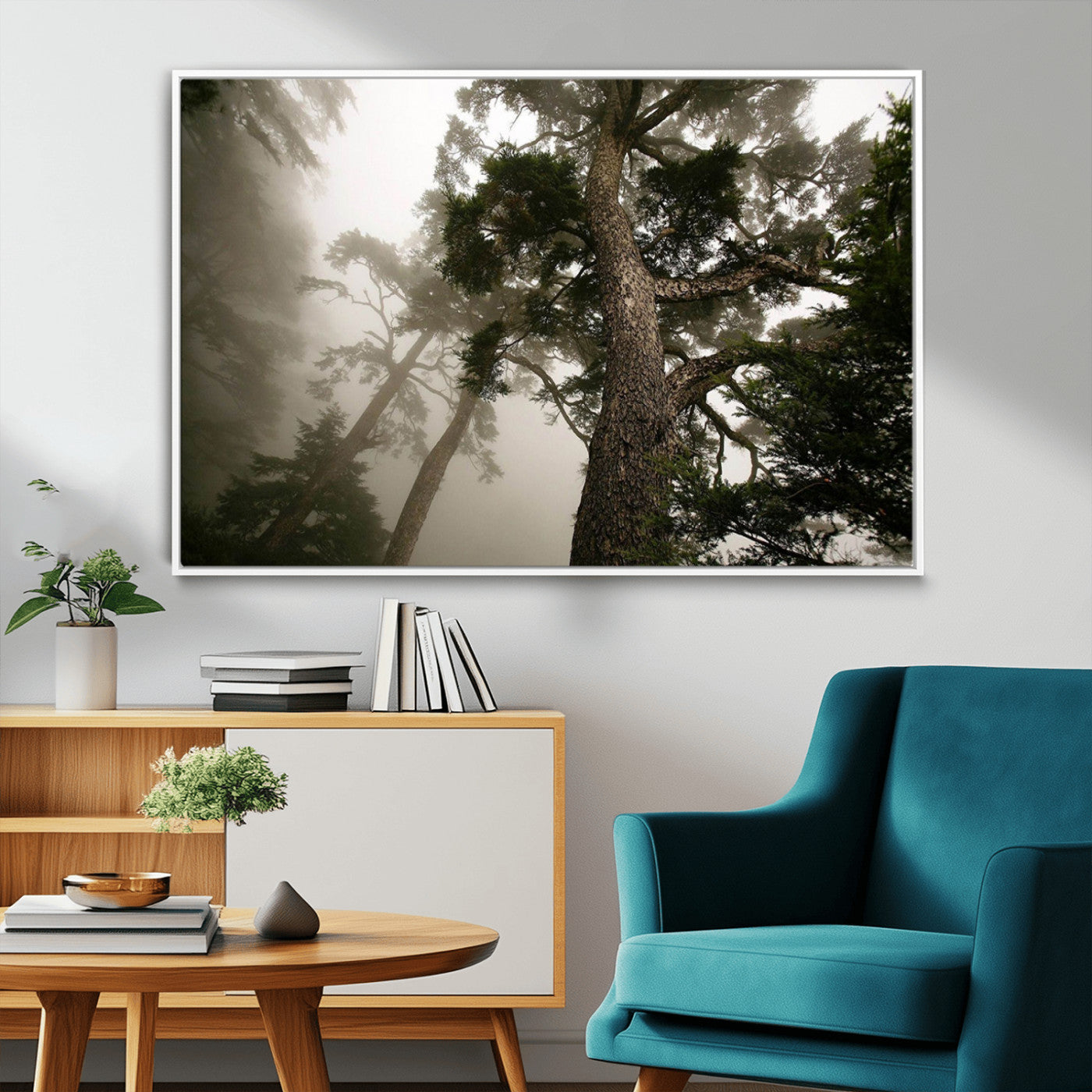 -Misty Forest Tall Trees Foggy Atmosphere Nature Serenity Calm Wooded Landscape Tranquil Scene