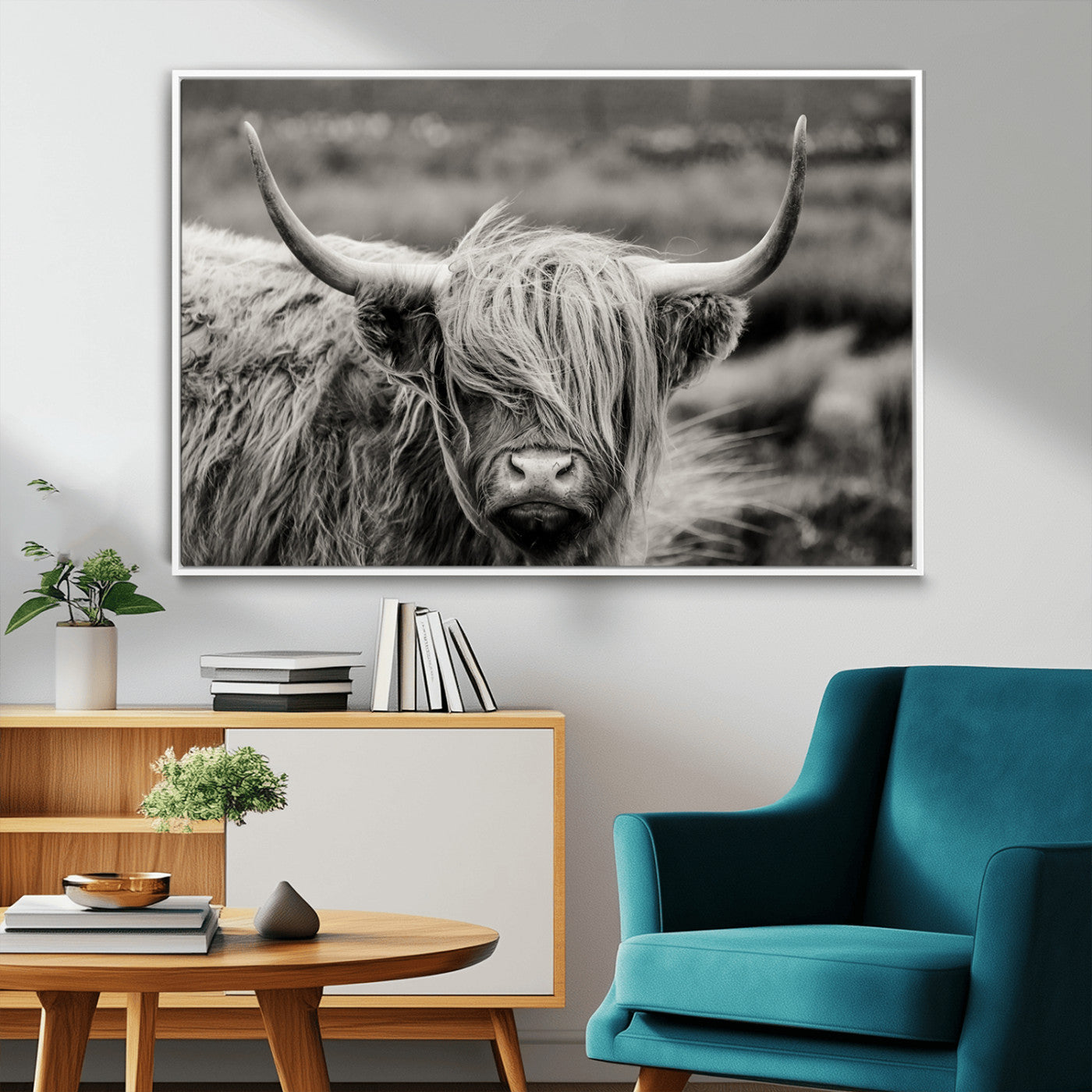 -Cow Focus Canvas Wall Art Print