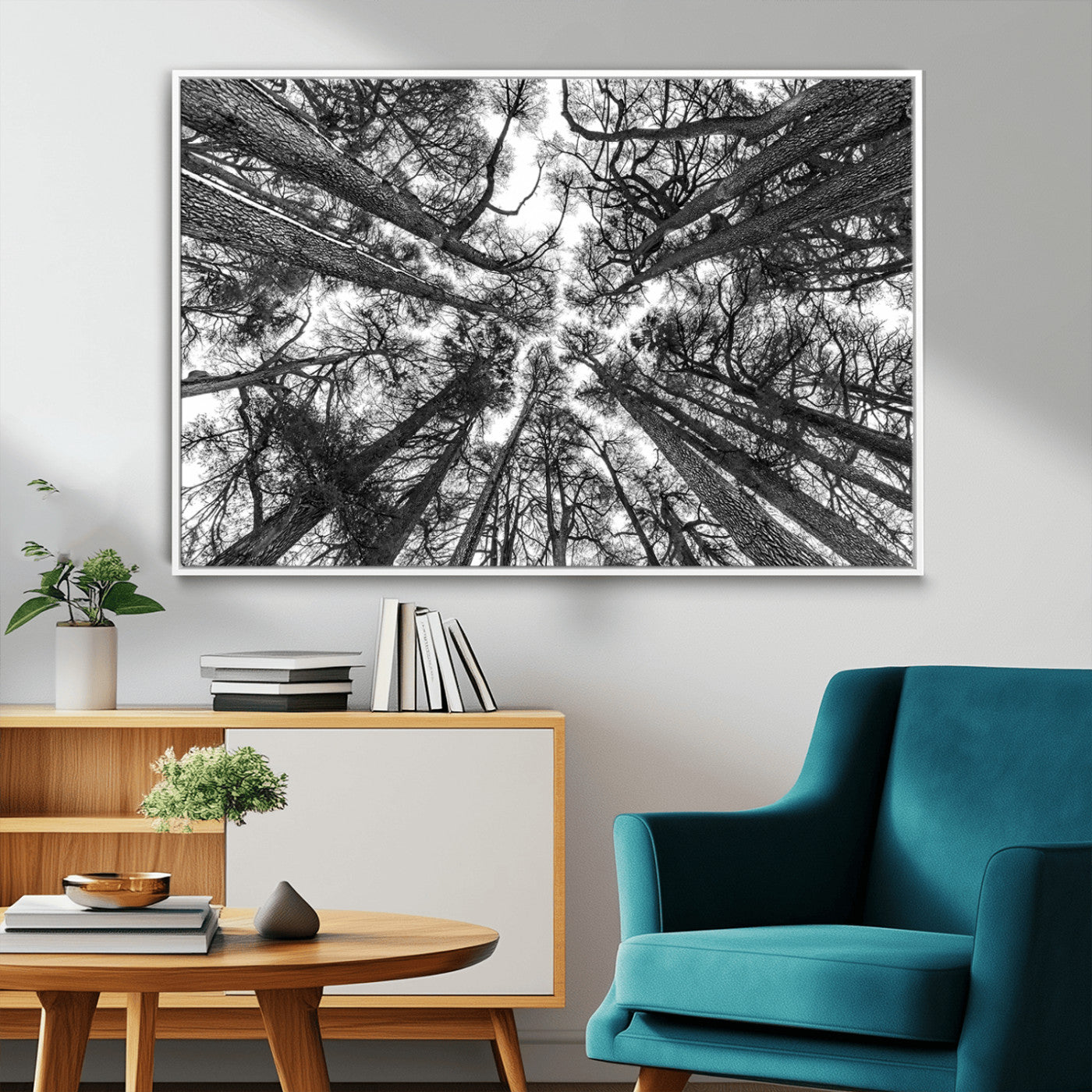 33934-MGV-FC-36X24_White-Trees Contemporary Art Canvas Print