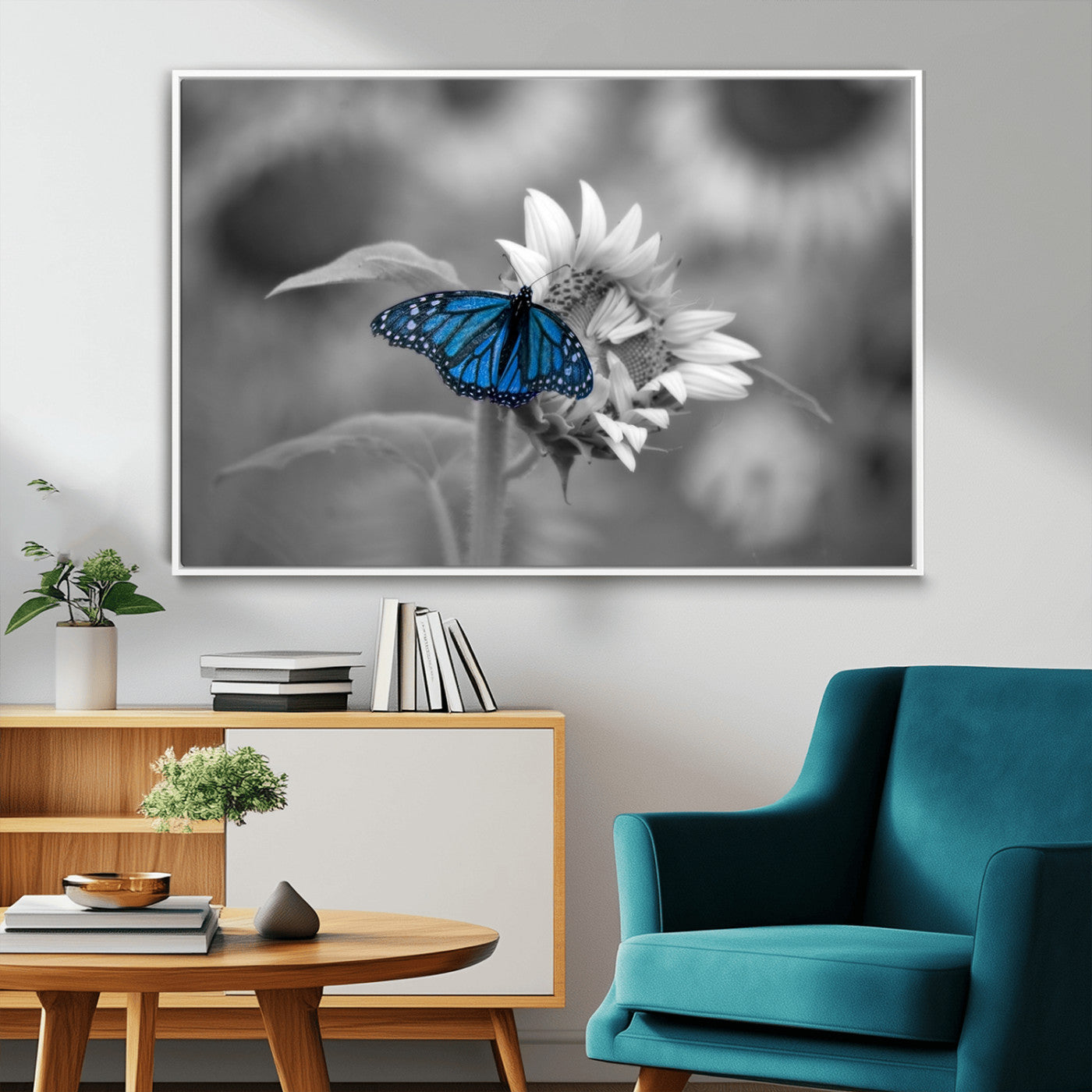 41965-MGV-FC-36X24_White-Blue Butterfly Black and White Canvas Wall Art