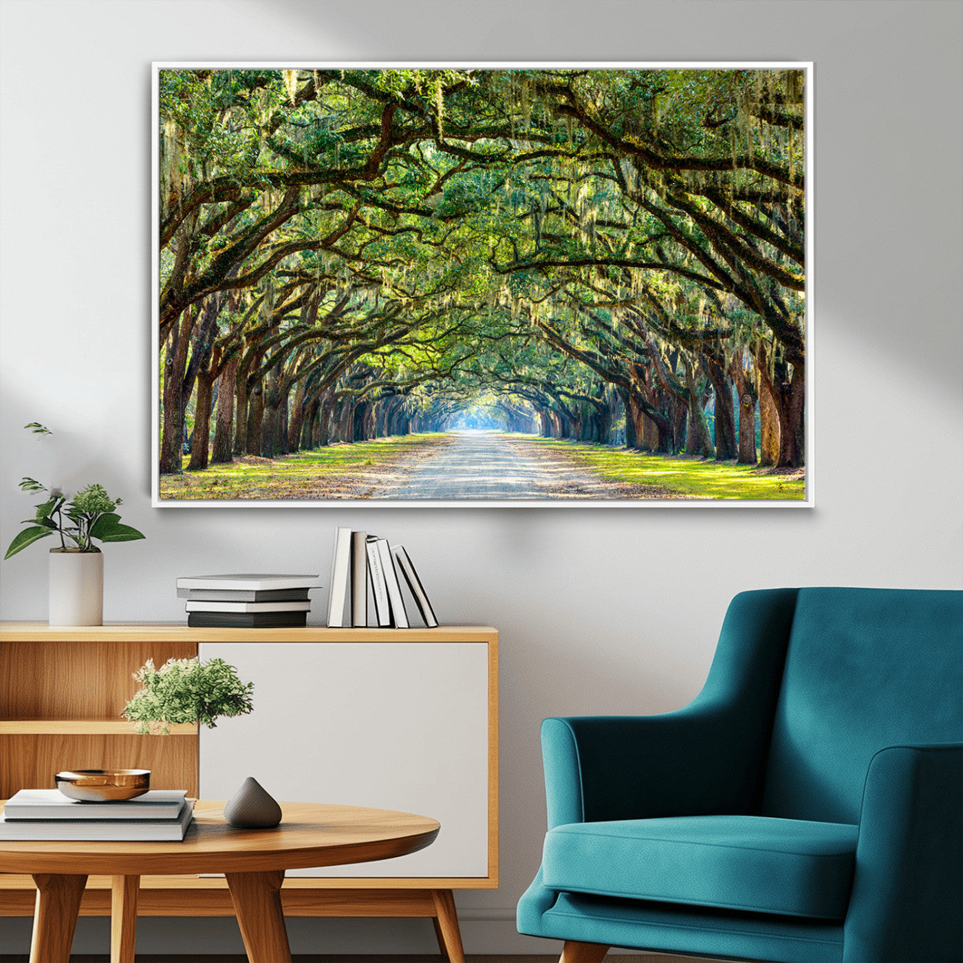 -Wormsloe State Plantation Driveway Wall Art Canvas Print