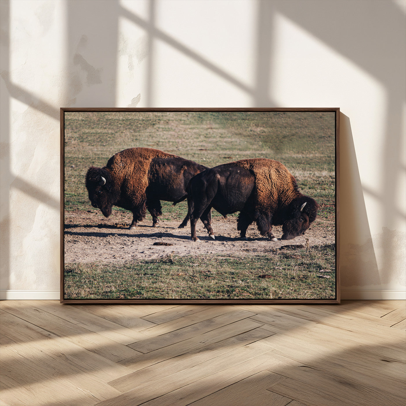 58141885-MGV-CV-36X24-Bison Wall Art Canvas Print – Framed Western Wildlife Modern Ranch Rustic Nature Scene Artwork for Home Office